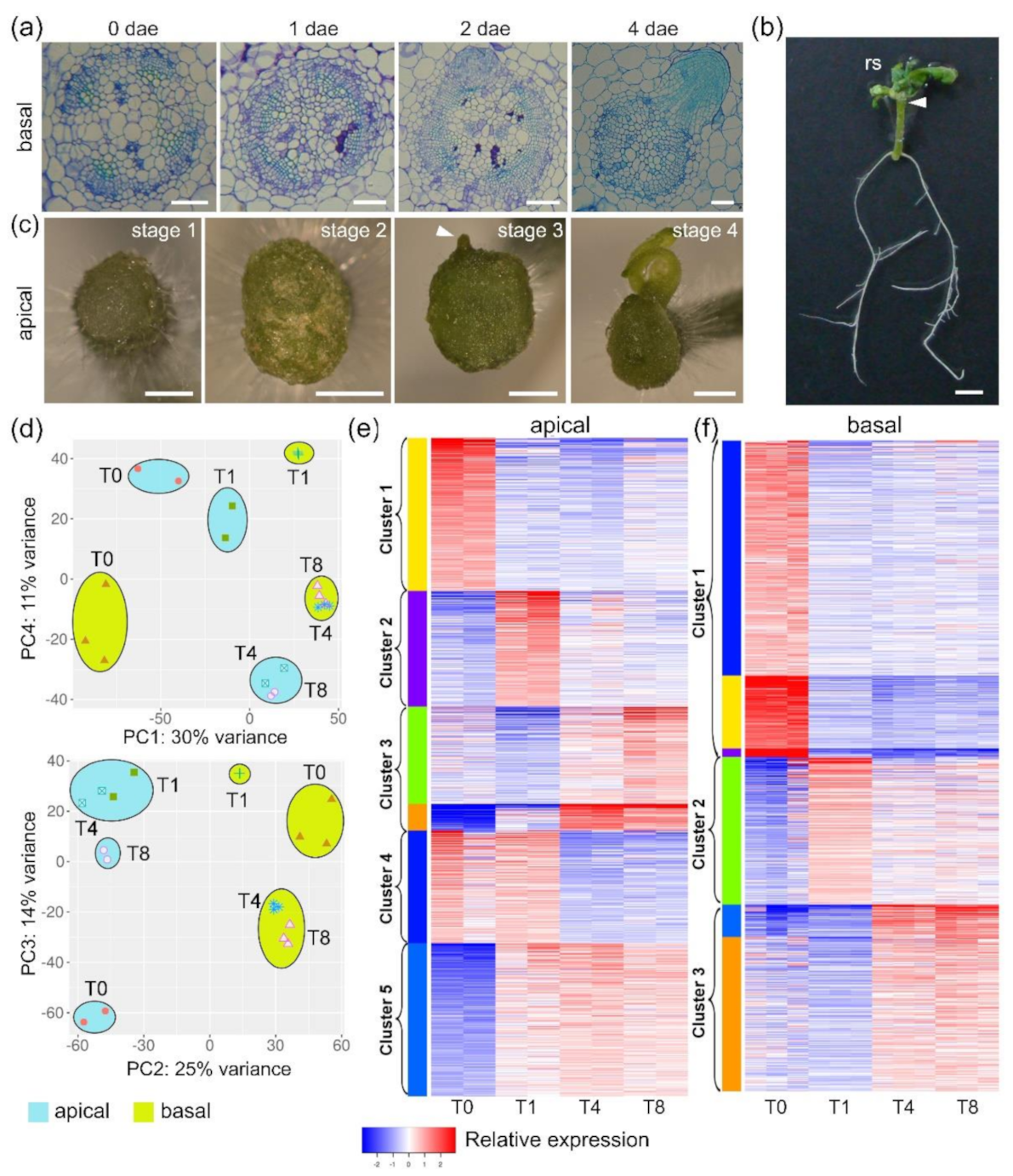 Ijms 22 10112 g001 550