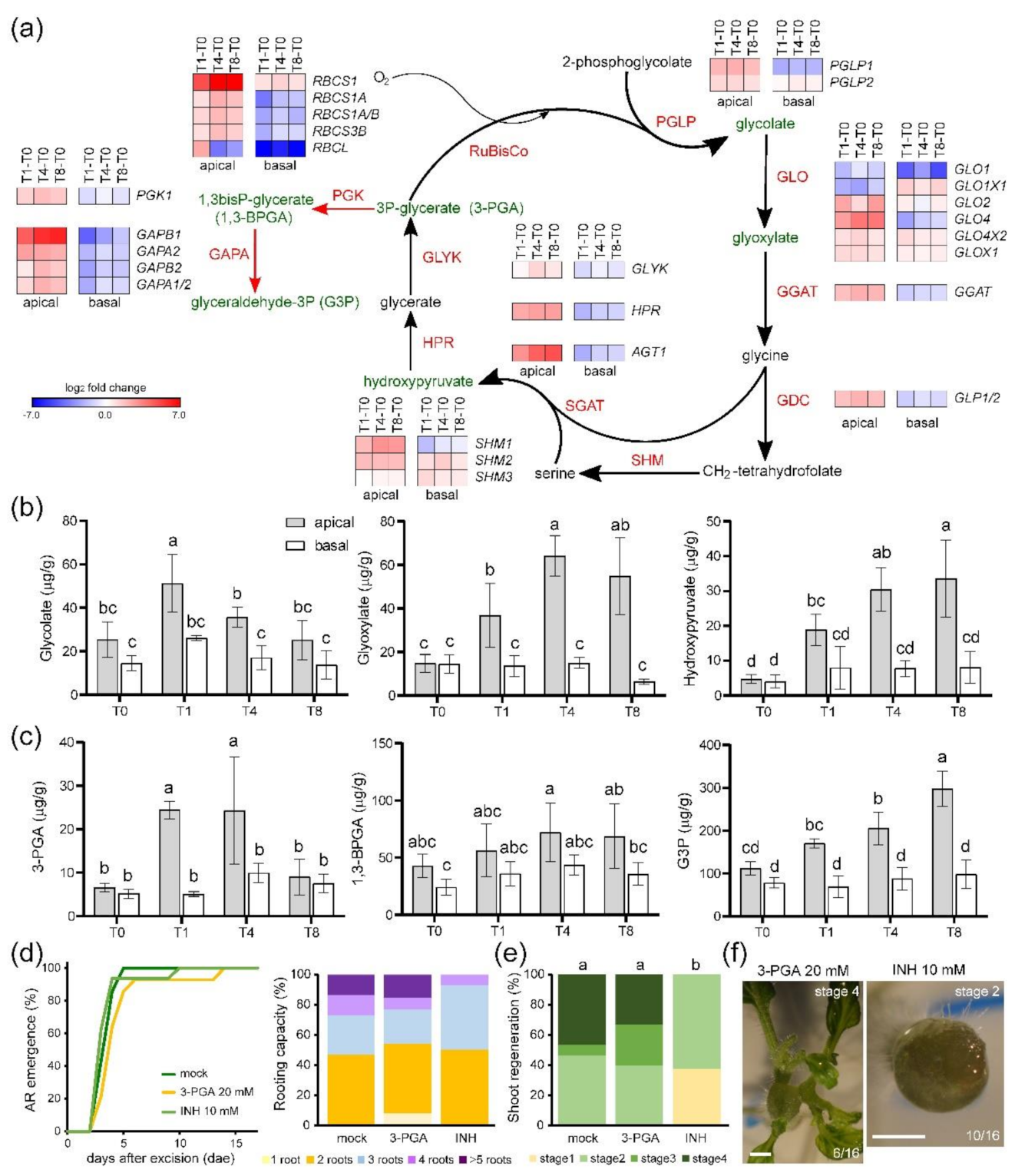 Ijms 22 10112 g004 550