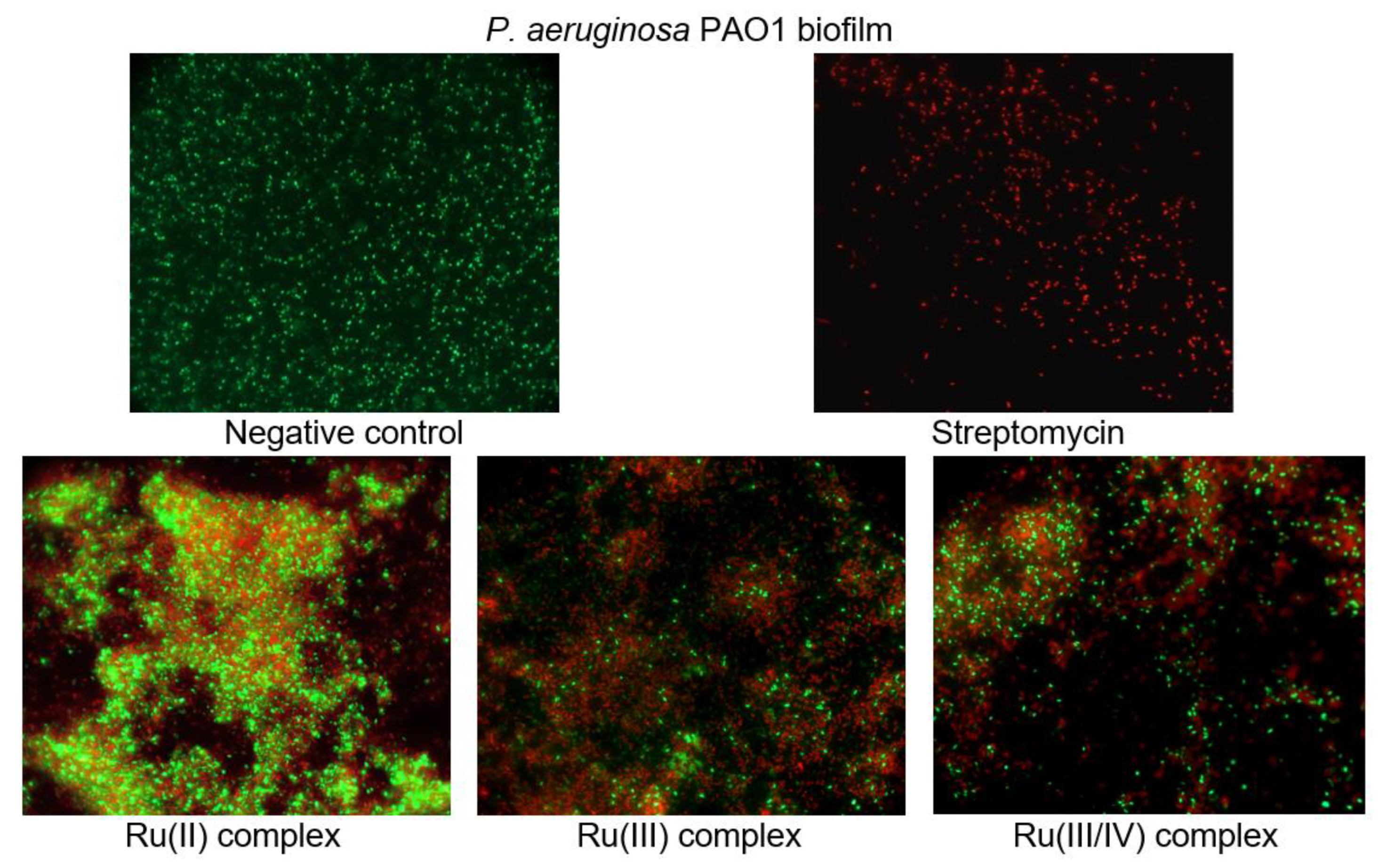 Ijms 22 10113 g008 550