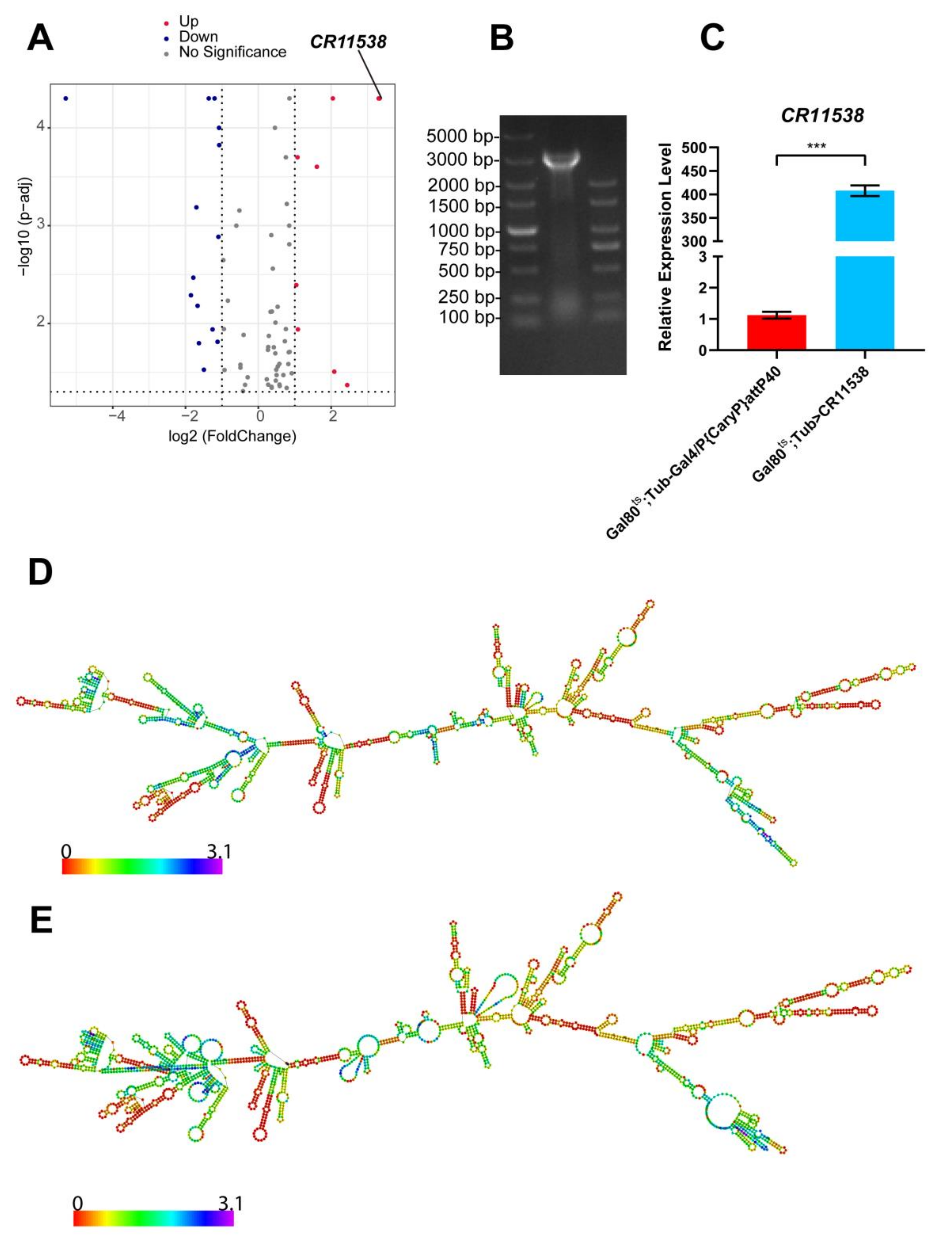 Ijms 22 10117 g001 550