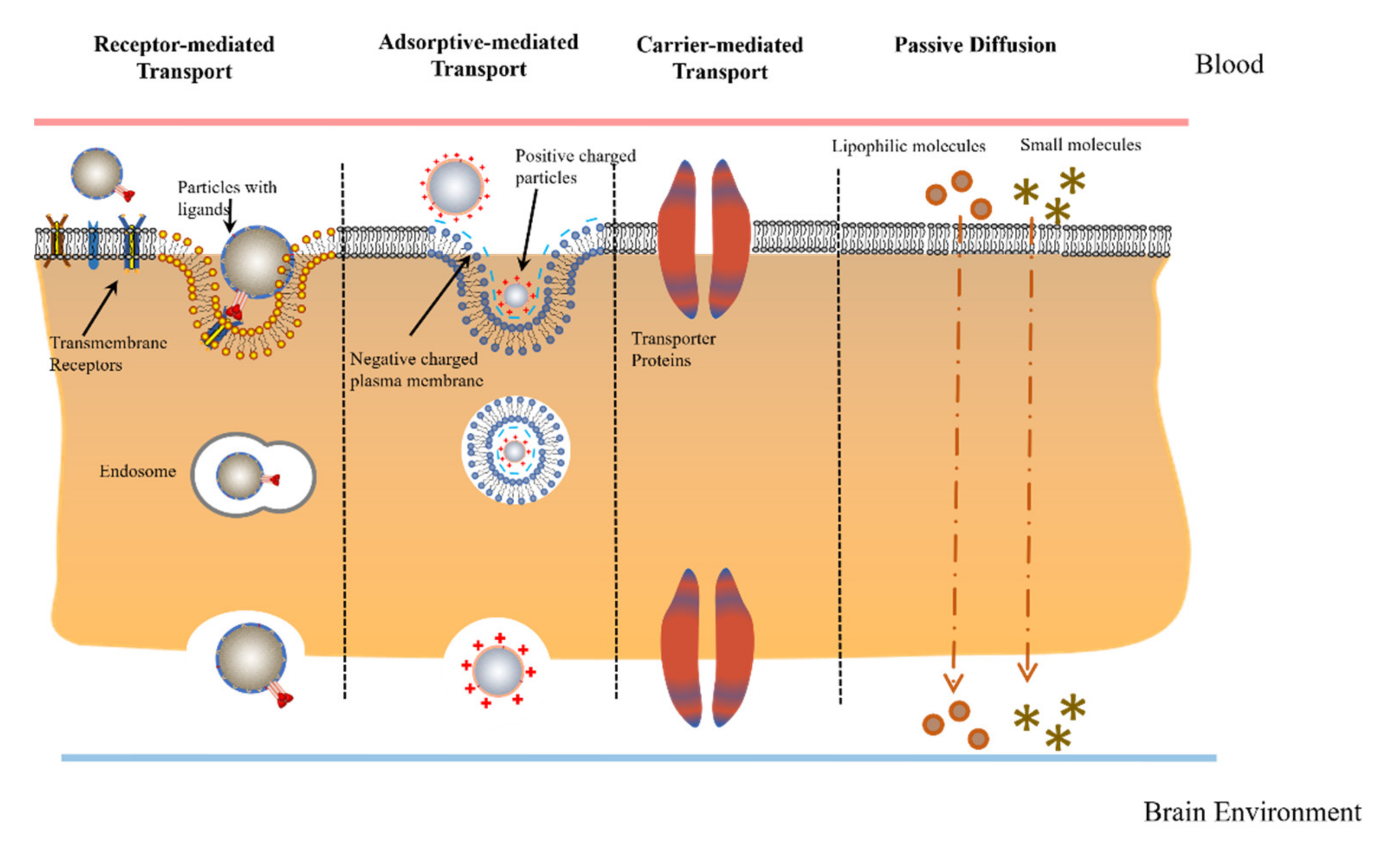 Design and Development of Nanomaterial-Based Drug Carriers