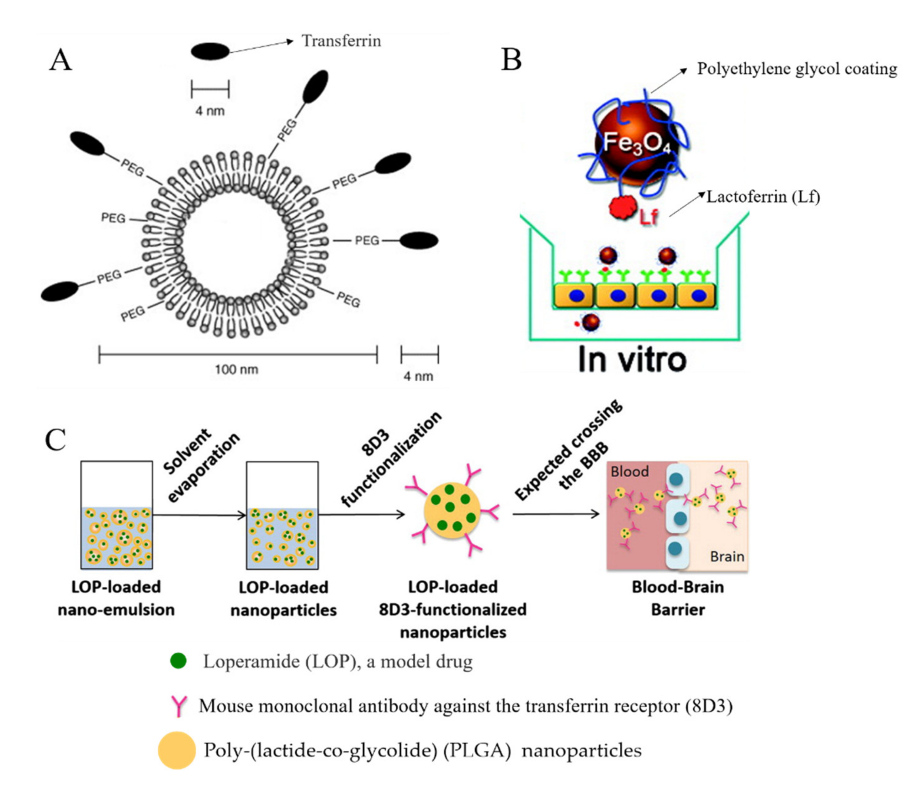 Design and Development of Nanomaterial-Based Drug Carriers
