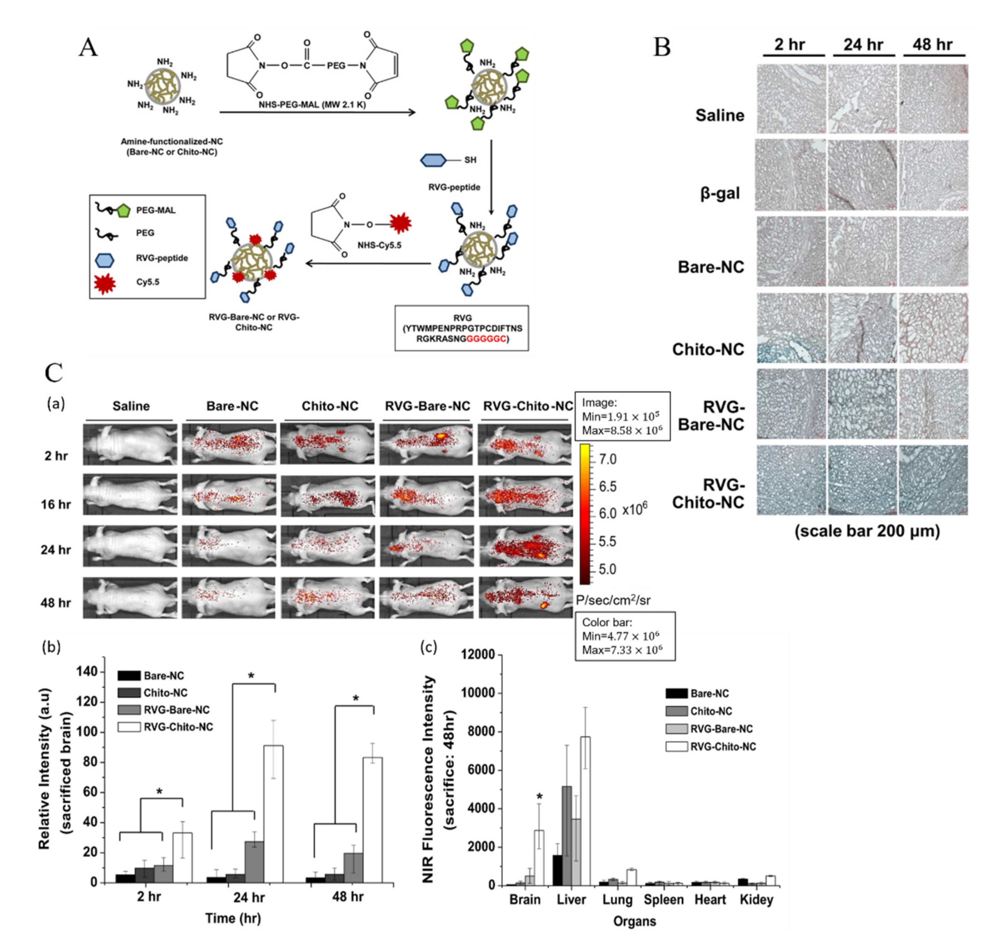 Ijms 22 10118 g007 550