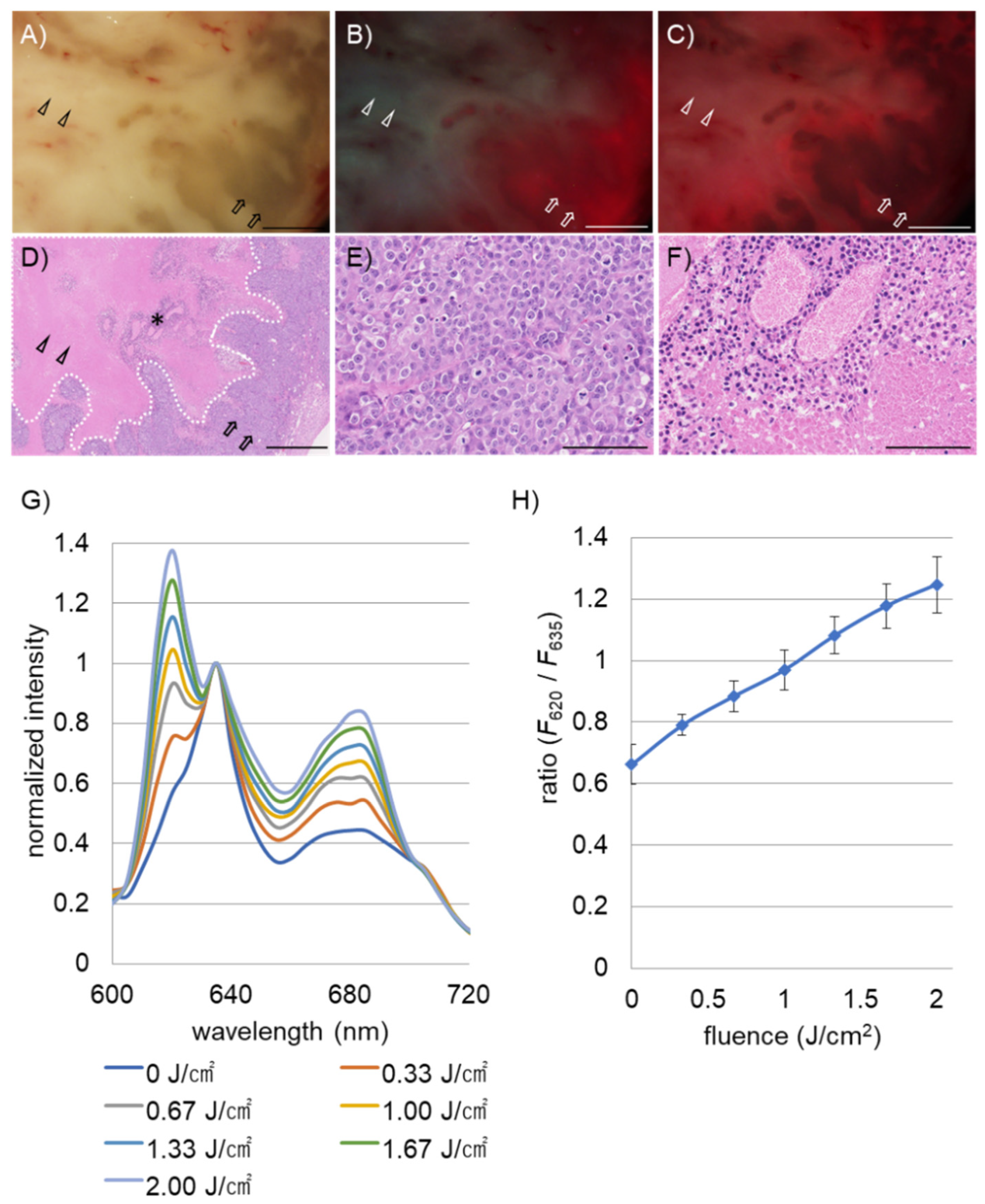 Ijms 22 10121 g002 550