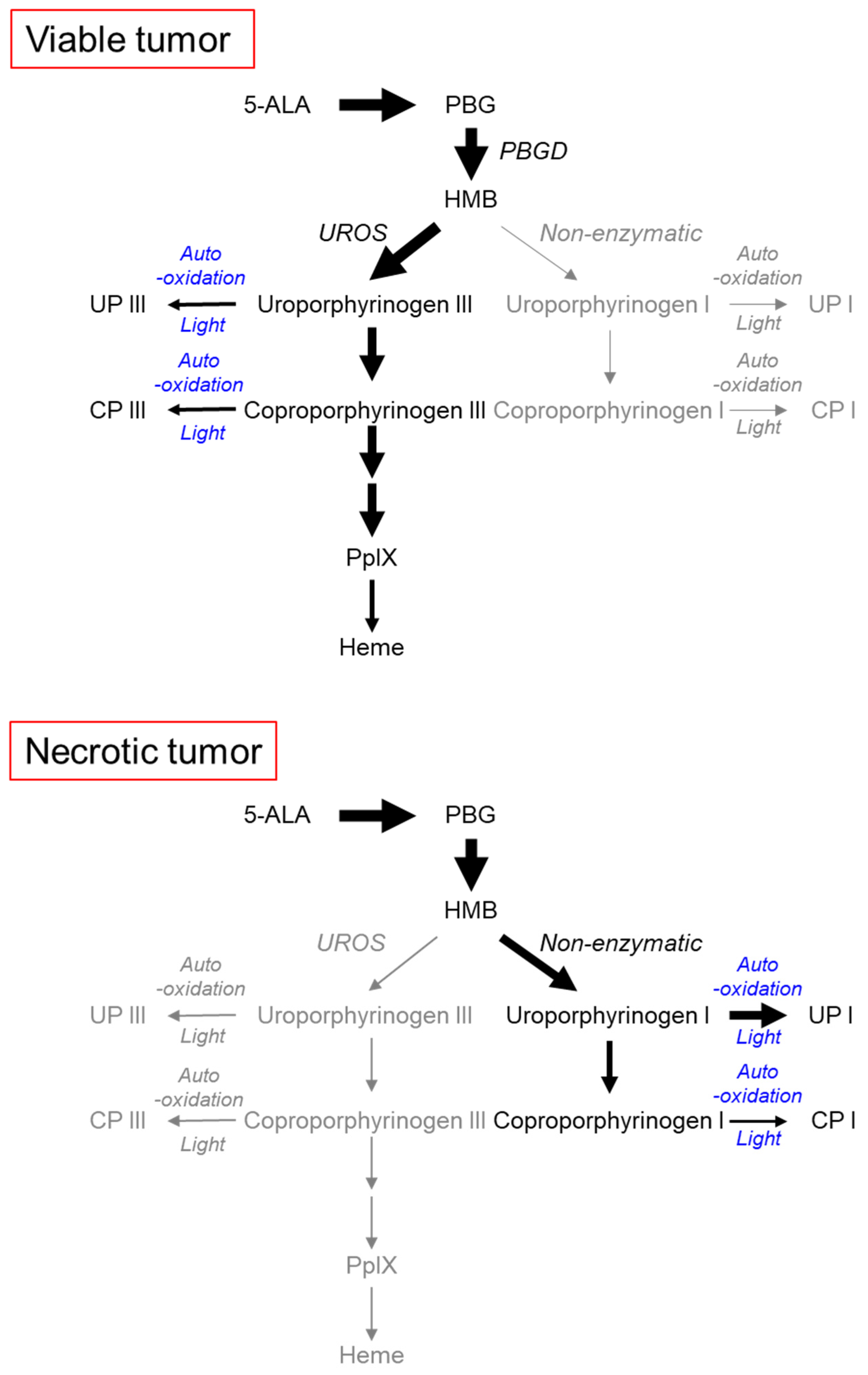 Ijms 22 10121 g004 550