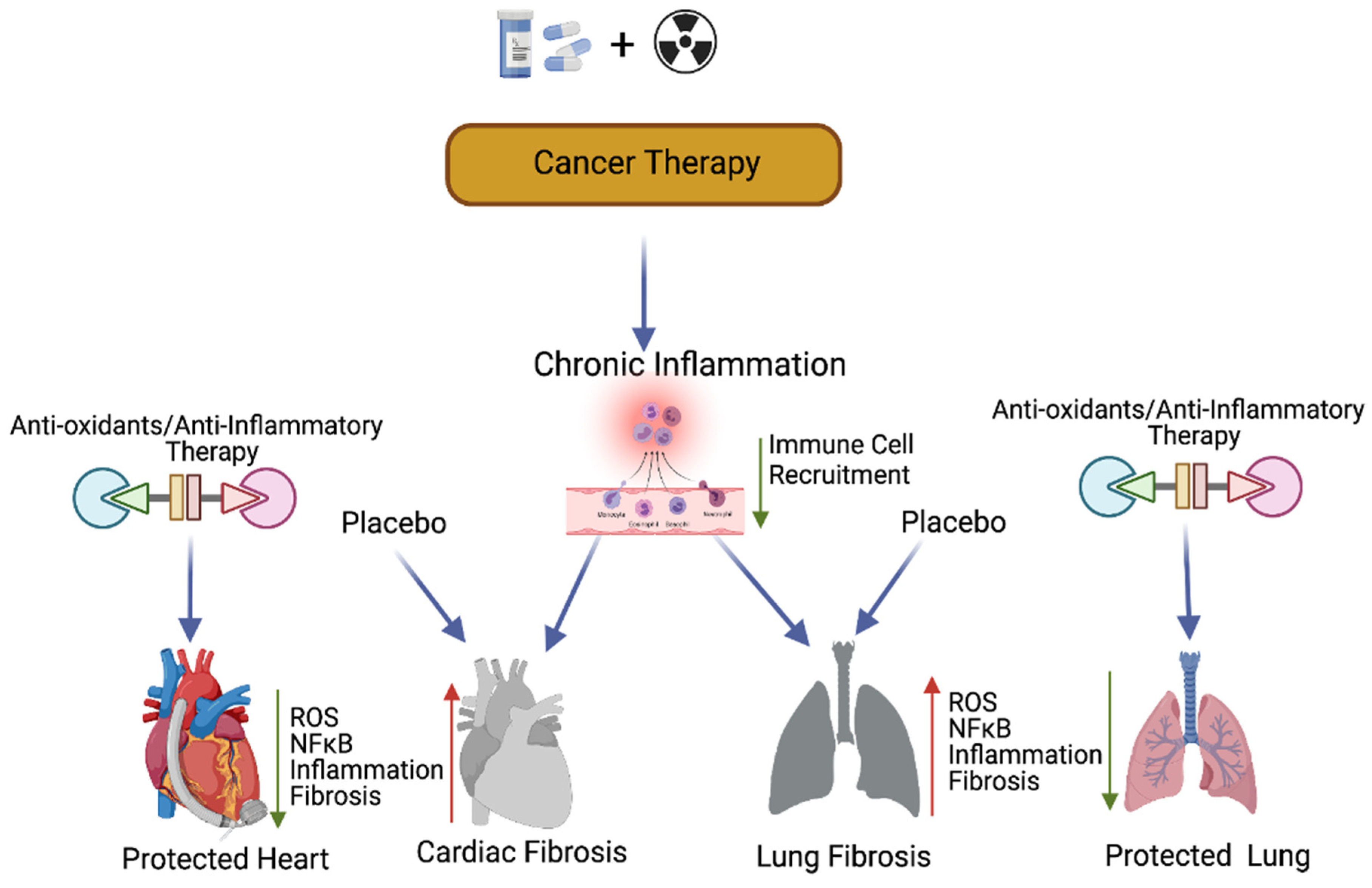 Ijms 22 10126 g004 Ijms 22 10126 g004