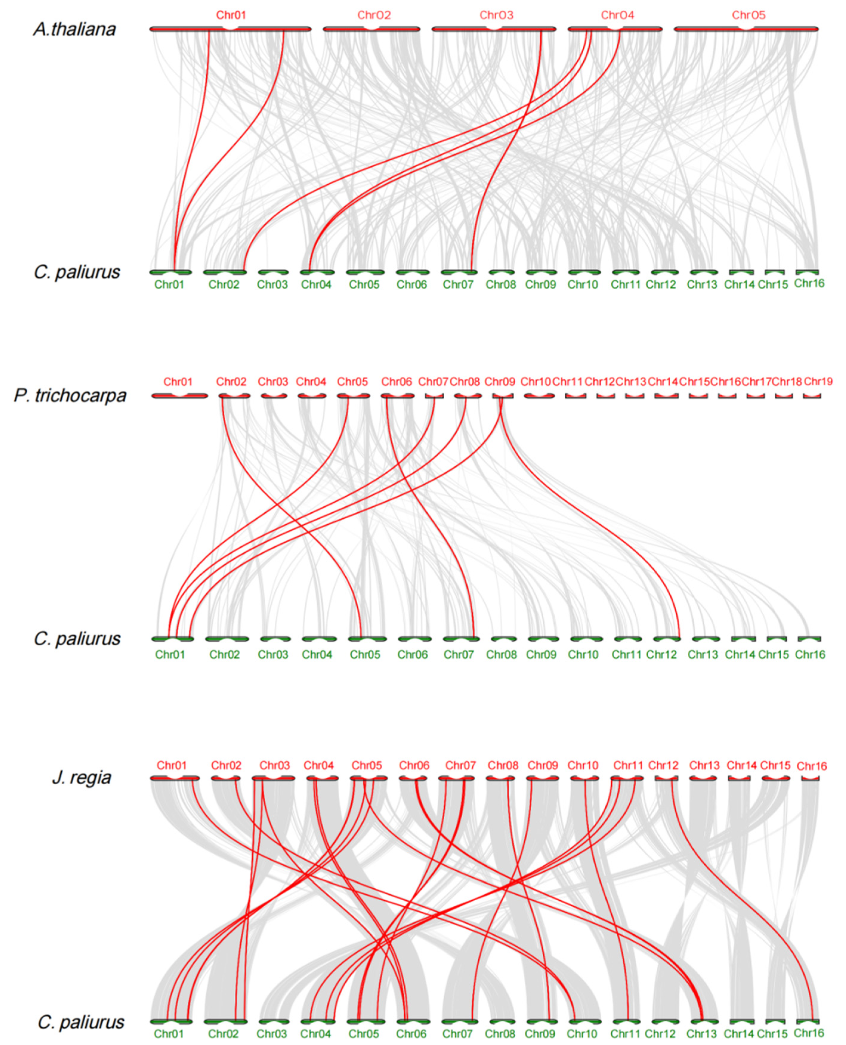 Ijms 22 10128 g002 550