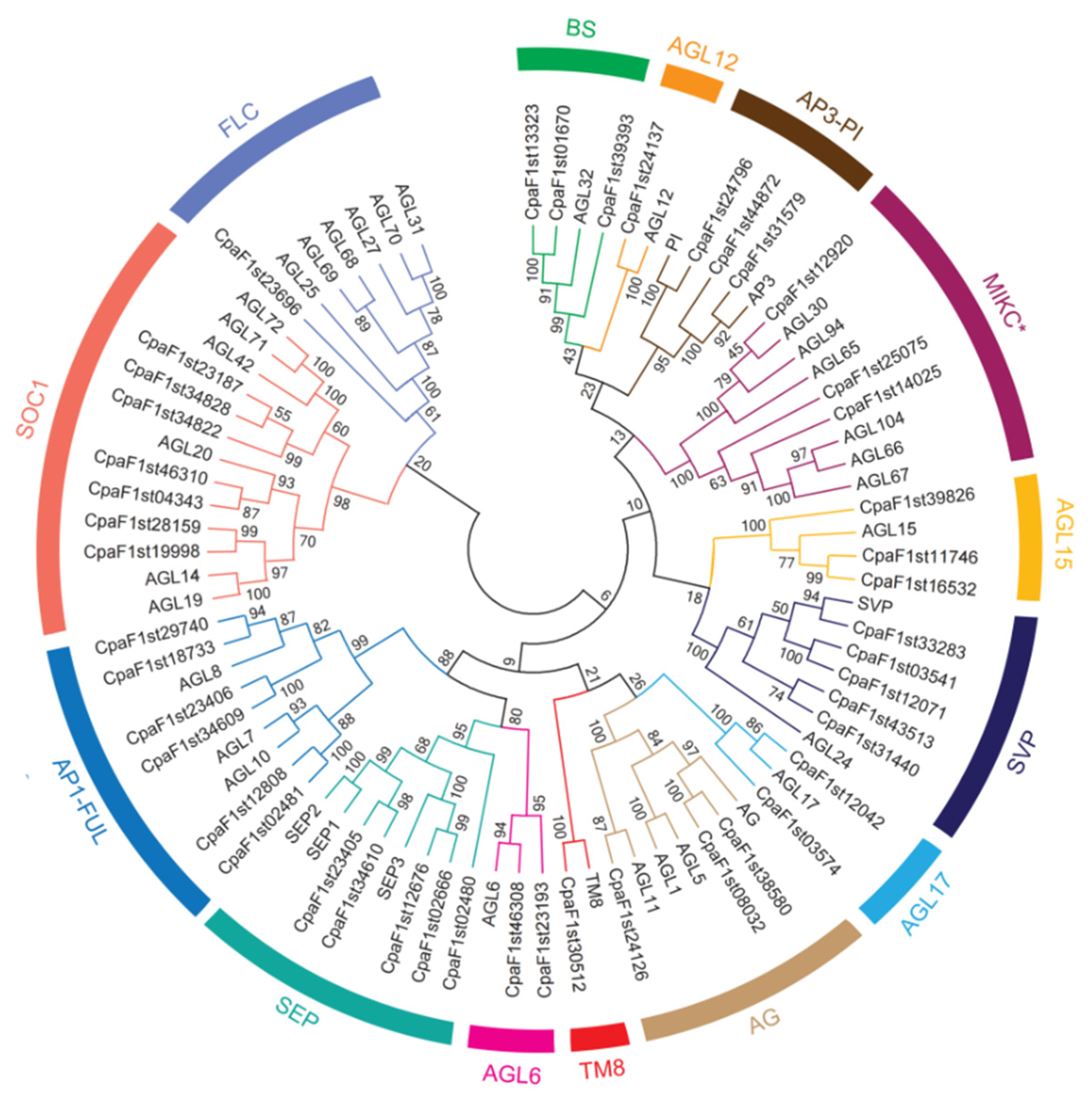 Ijms 22 10128 g003 550