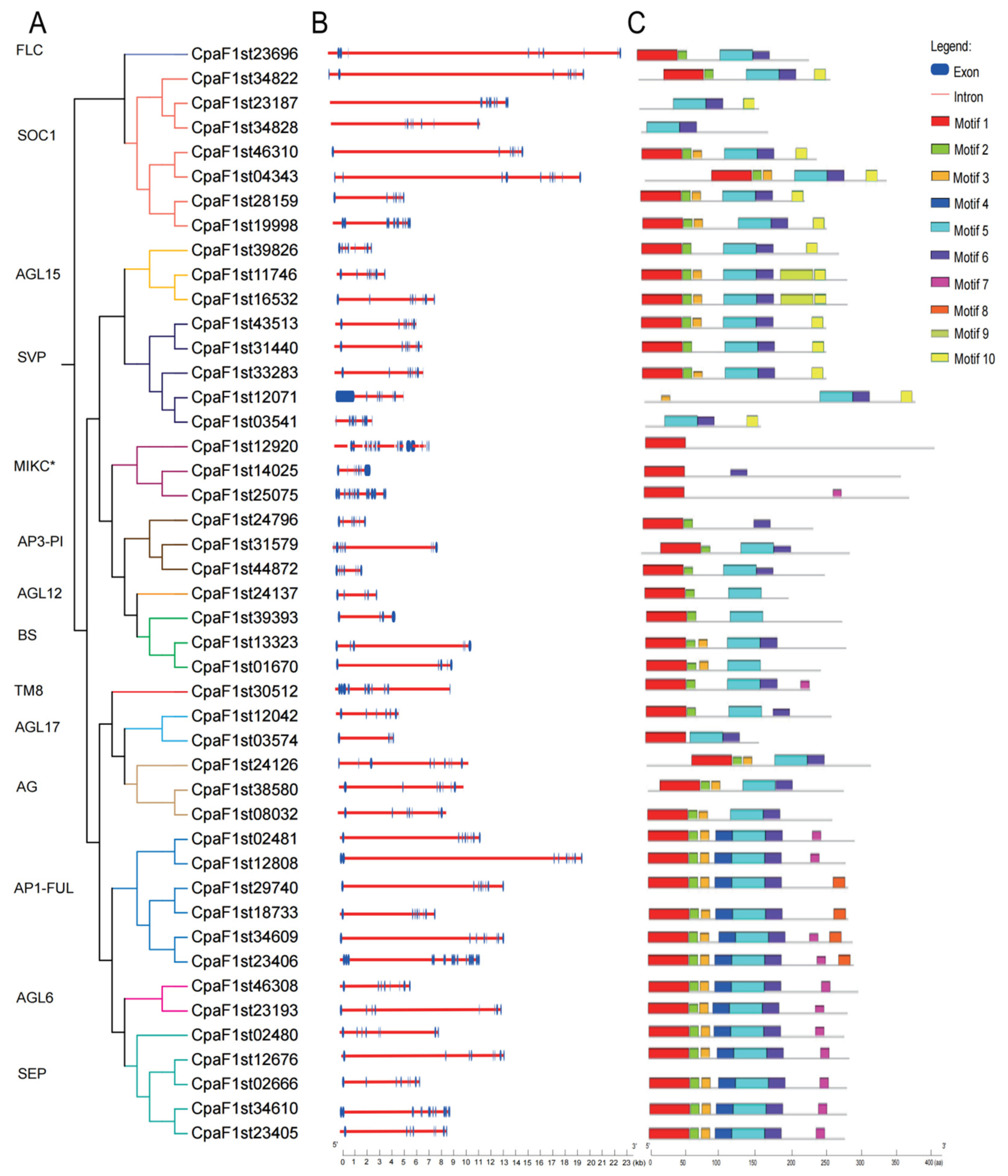 Ijms 22 10128 g004 550