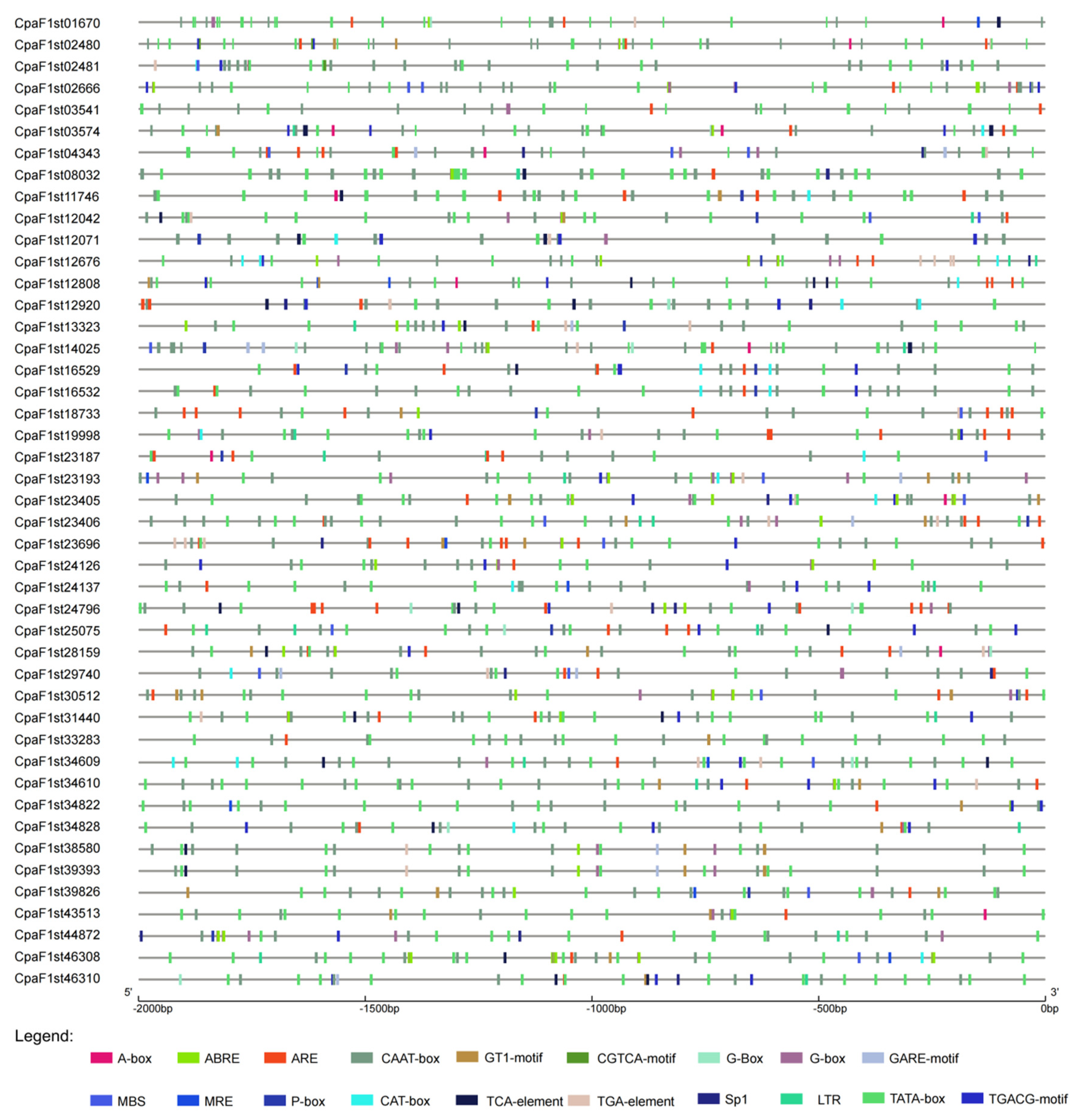 Ijms 22 10128 g005 550