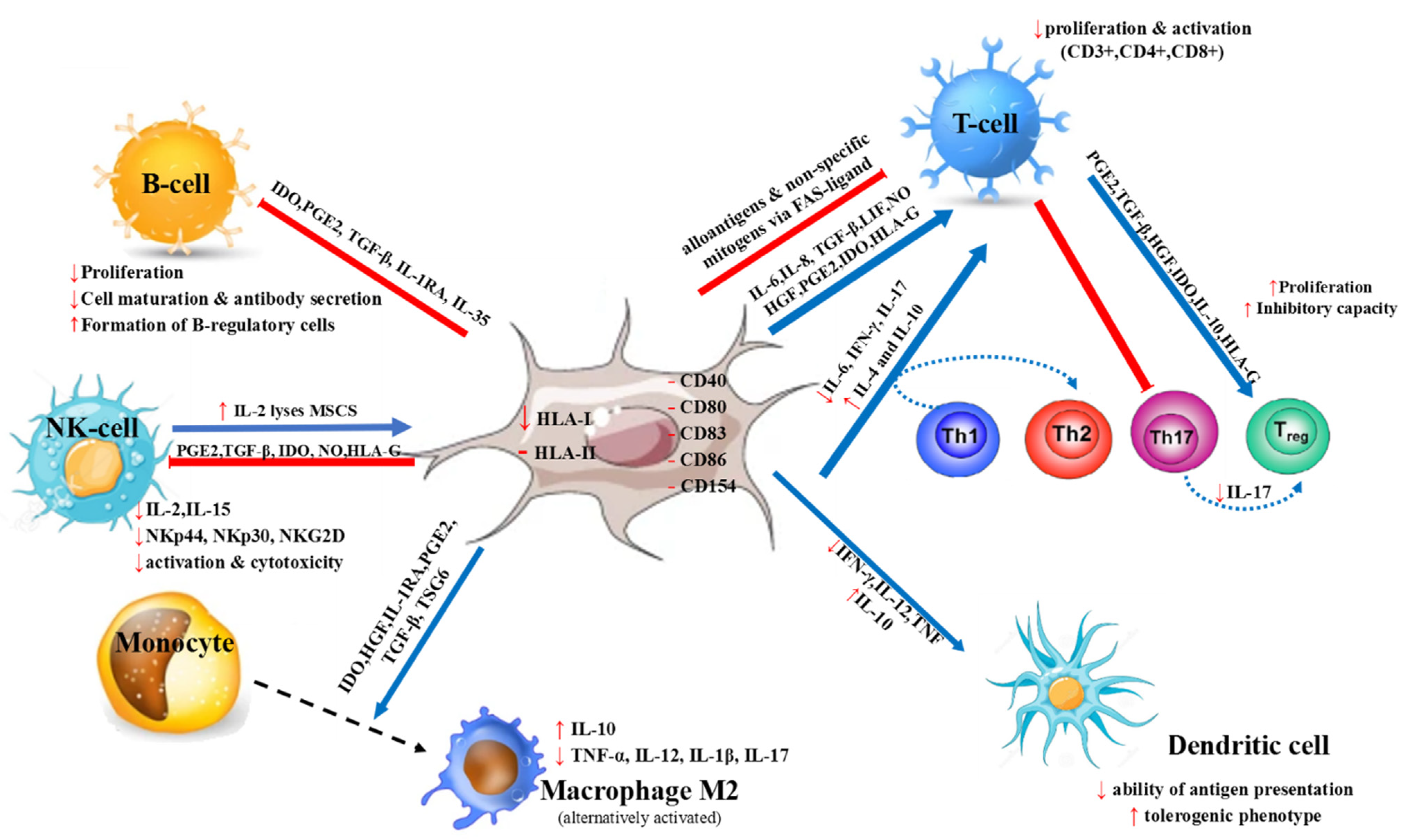Ijms 22 10132 g001 550