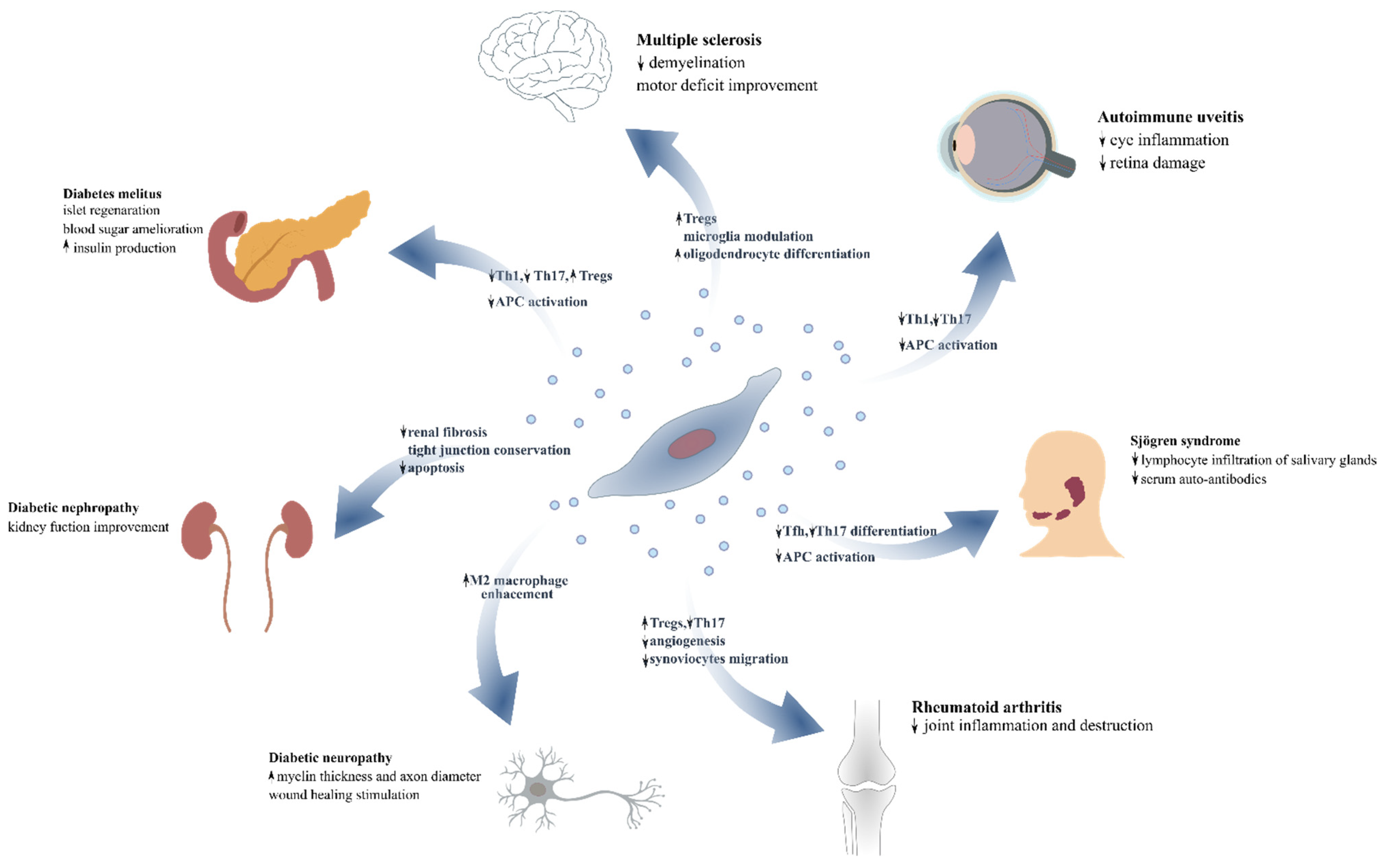 Ijms 22 10132 g002 550