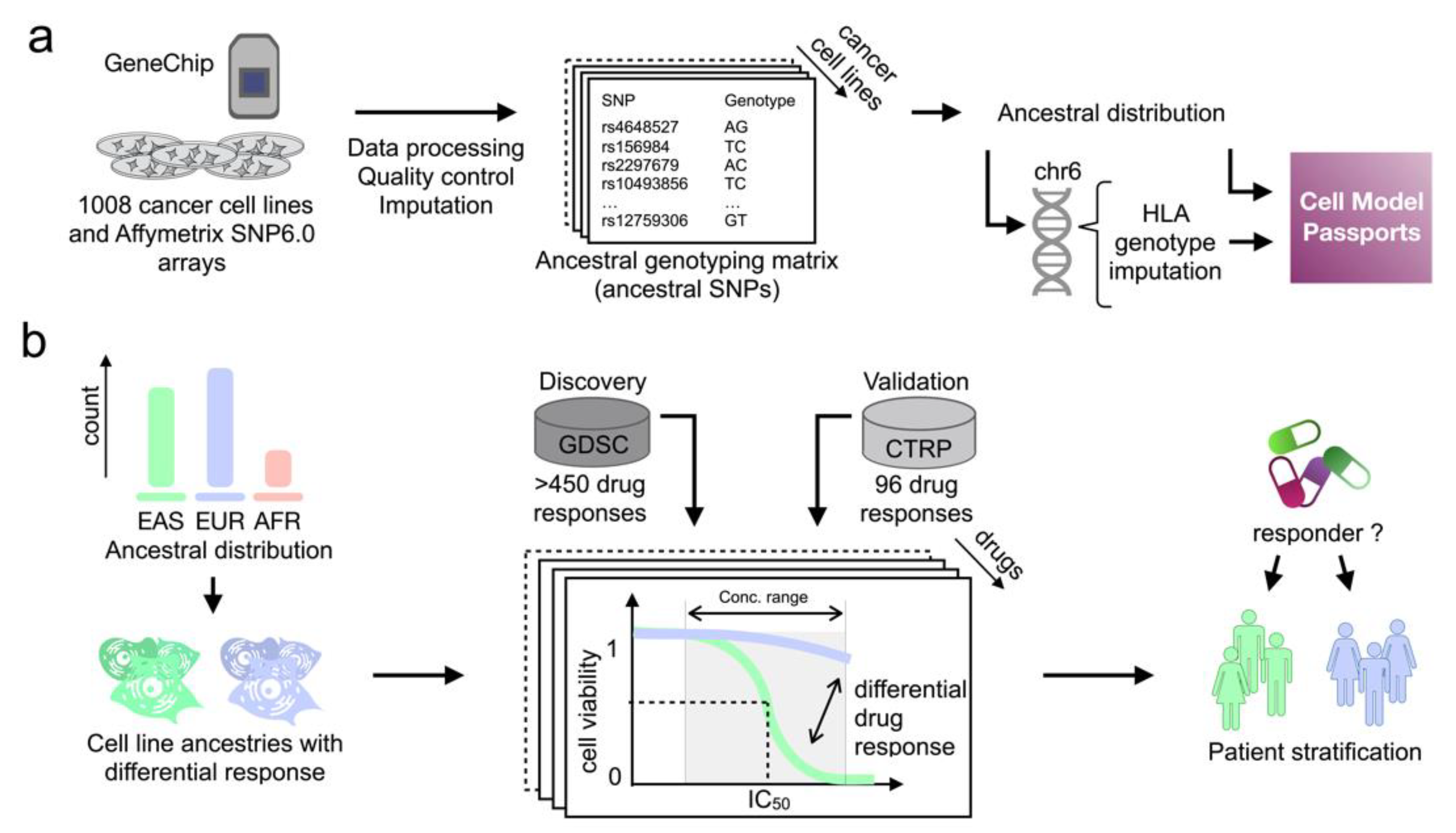 Ijms 22 10135 g001 550