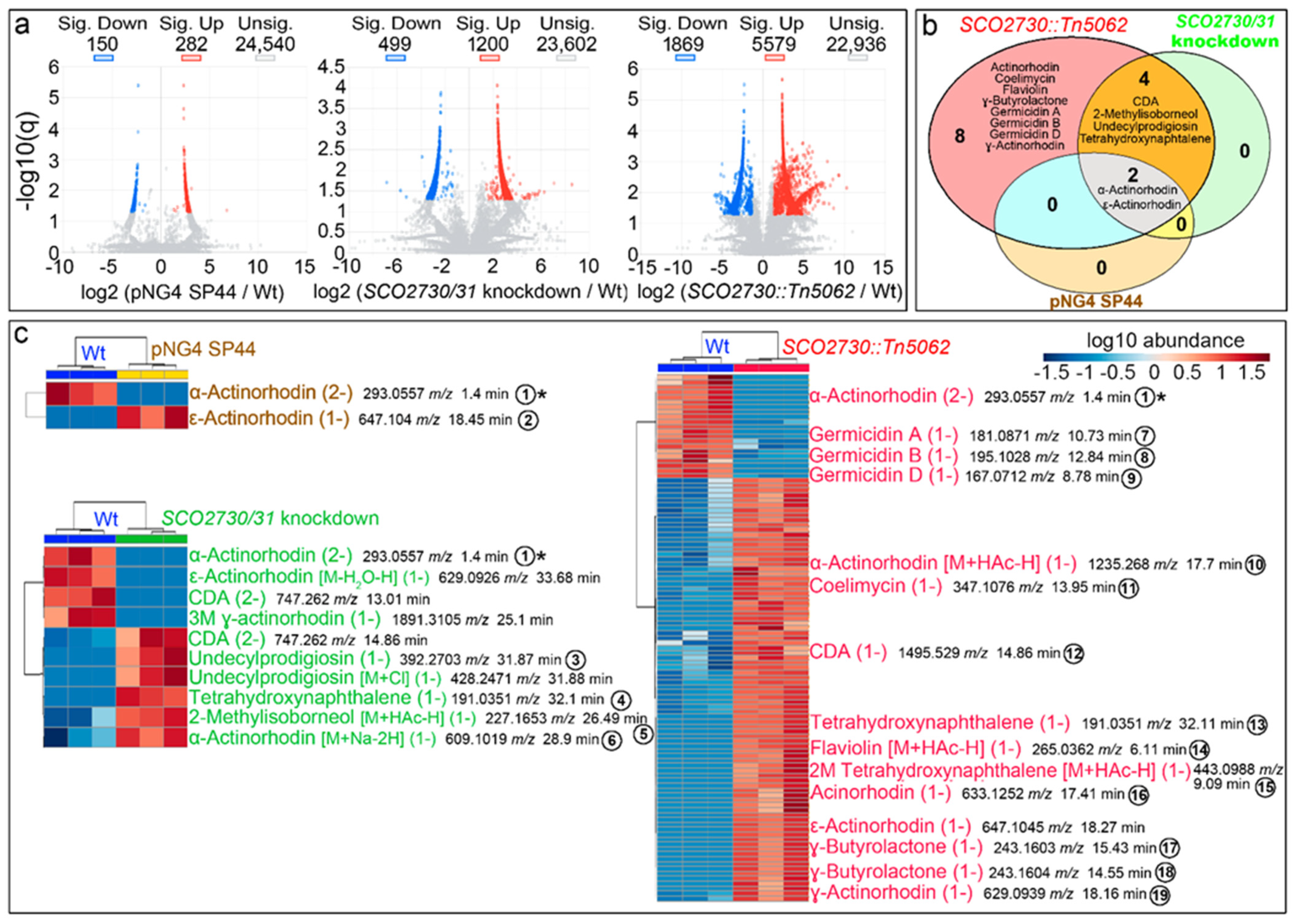 Ijms 22 10143 g003 Ijms 22 10143 g003