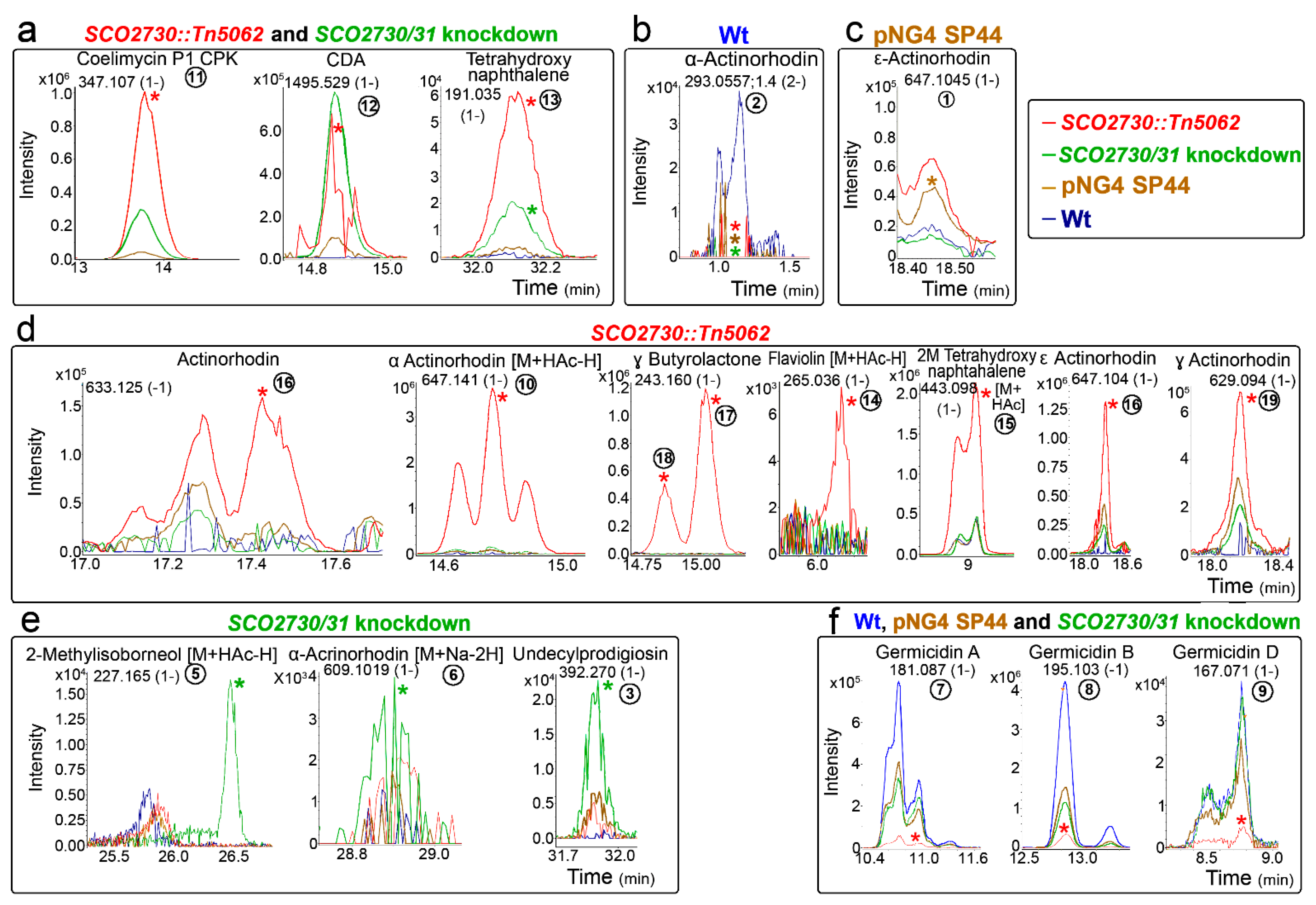 Ijms 22 10143 g004 Ijms 22 10143 g004