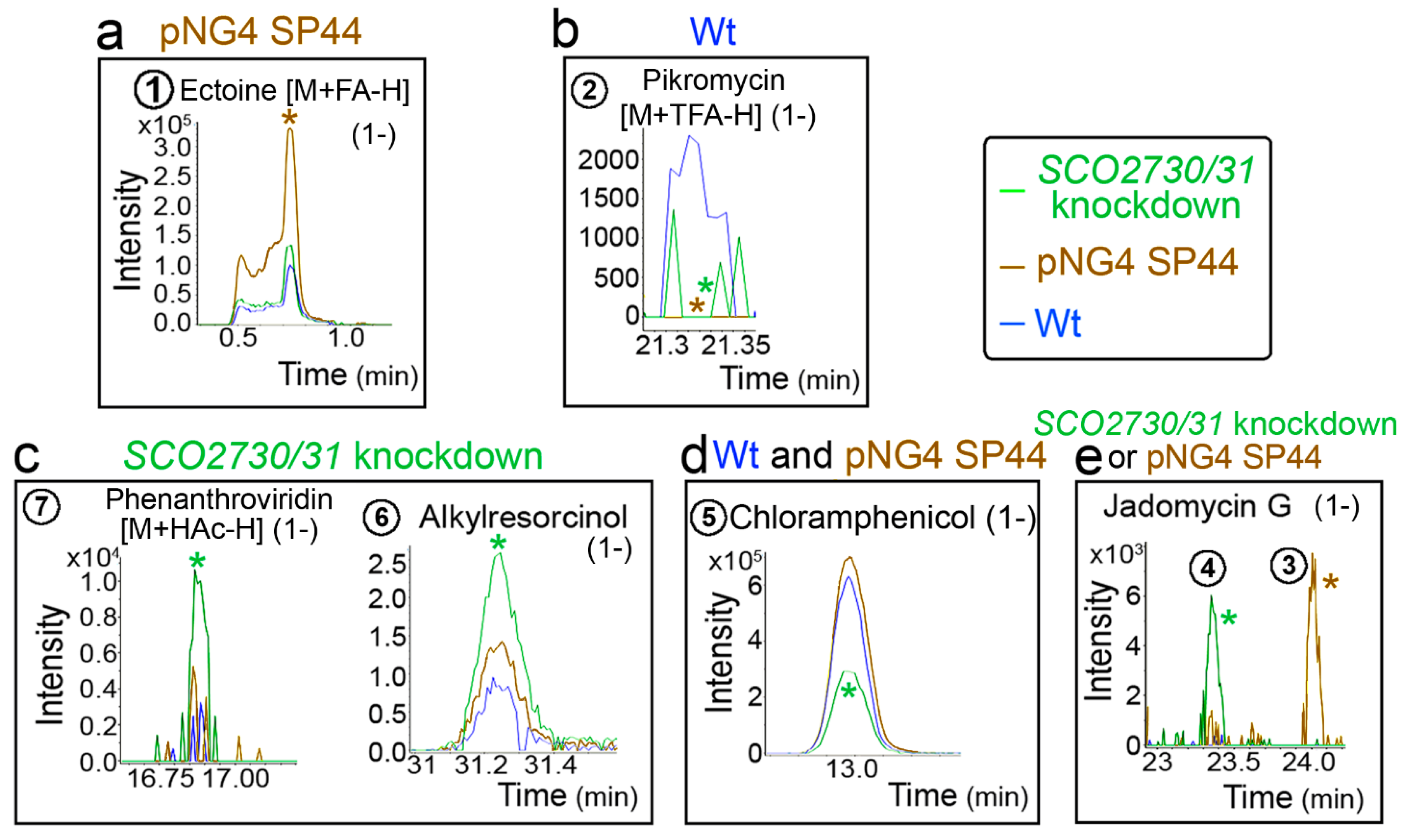 Ijms 22 10143 g006 Ijms 22 10143 g006