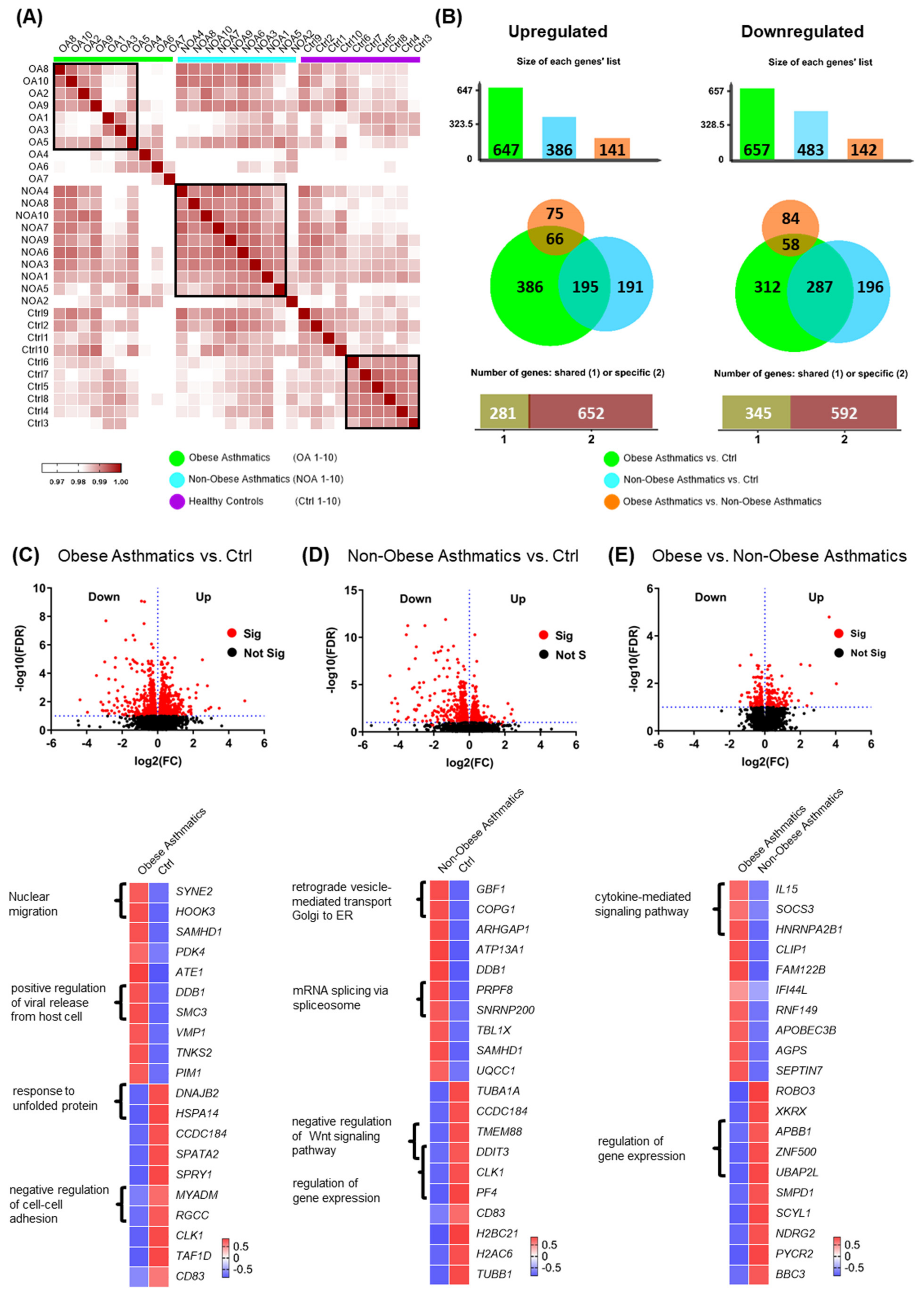 Ijms 22 10144 g001 Ijms 22 10144 g001