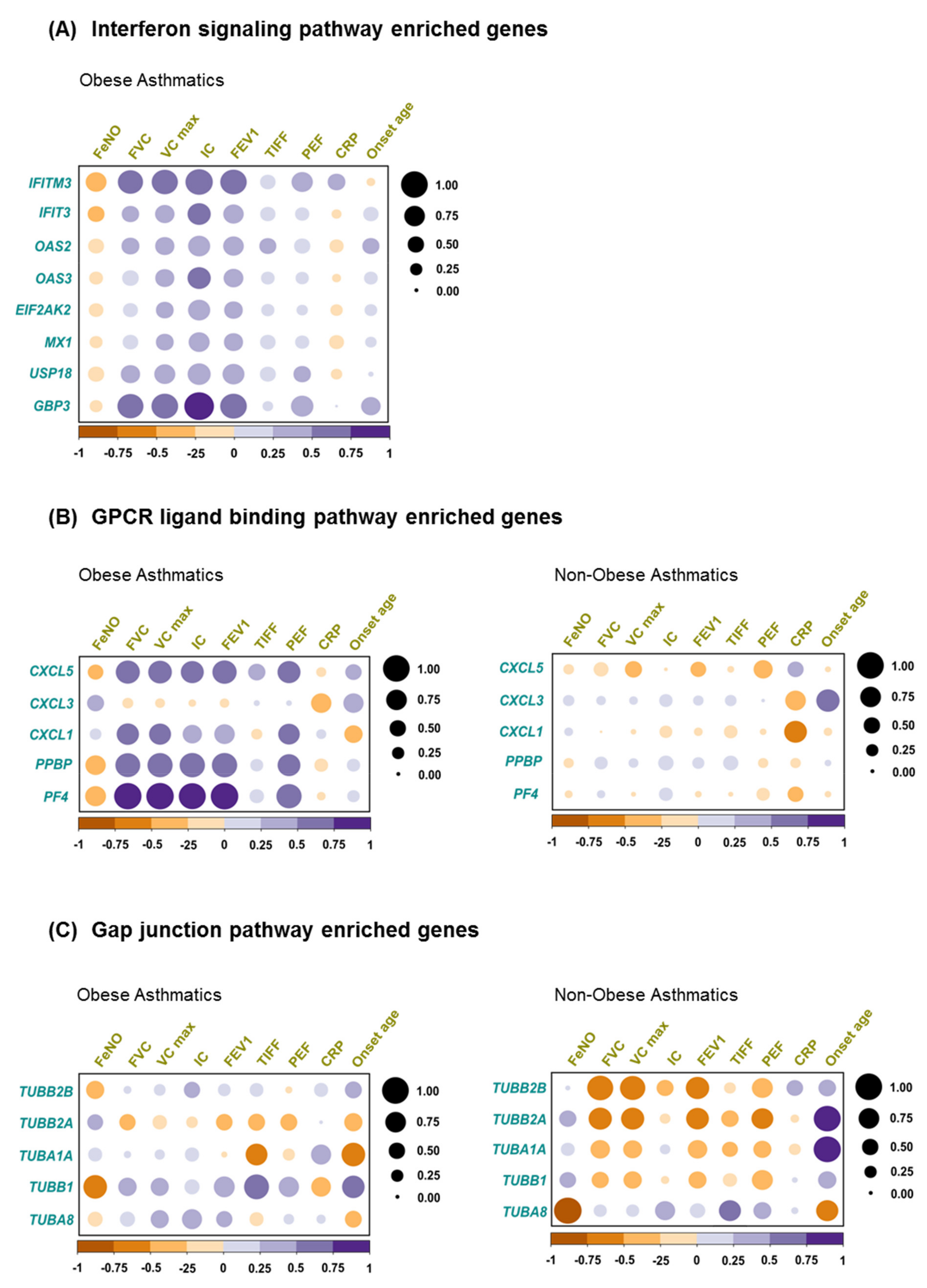 Ijms 22 10144 g004 Ijms 22 10144 g004