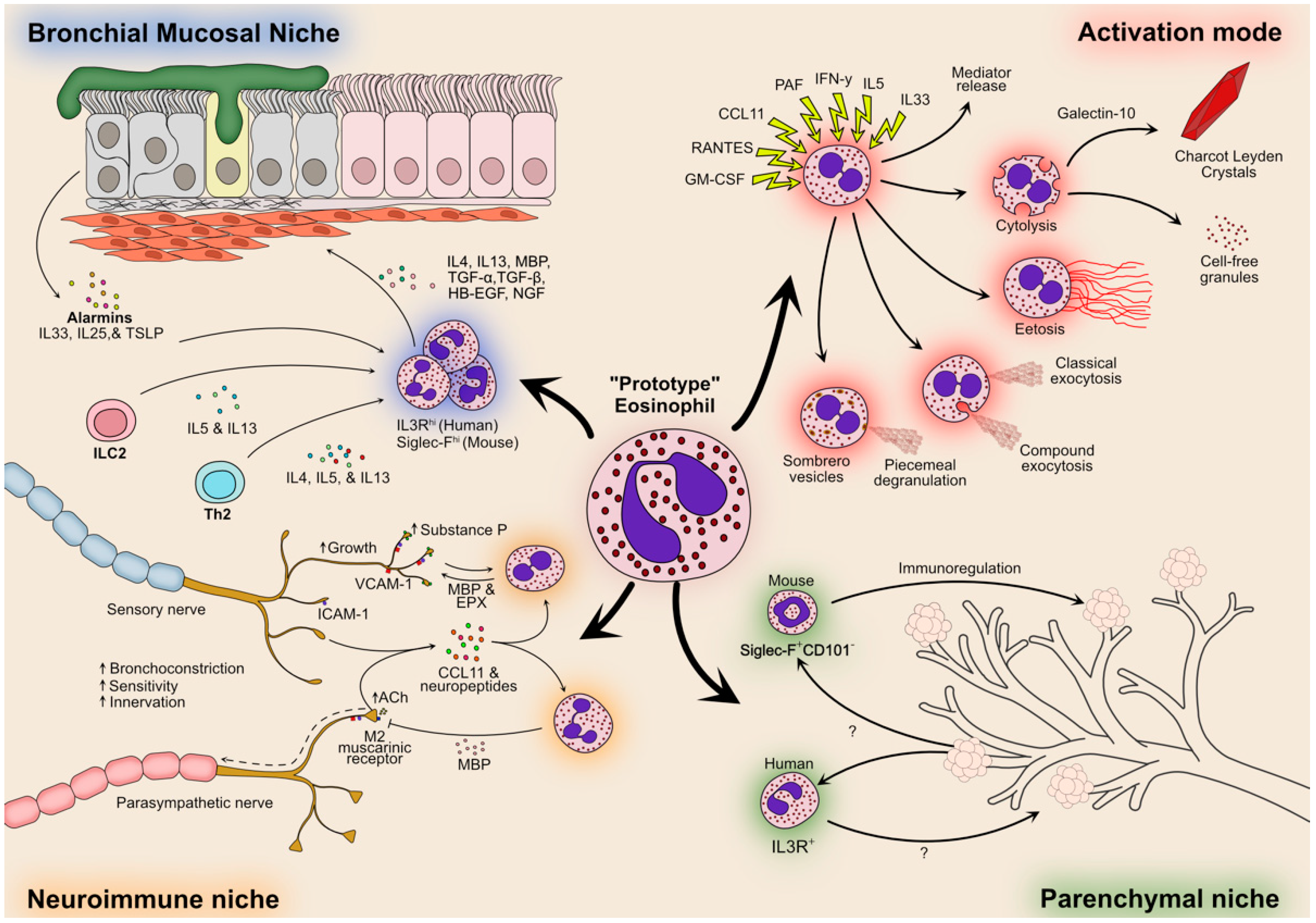 Ijms 22 10150 g002 550