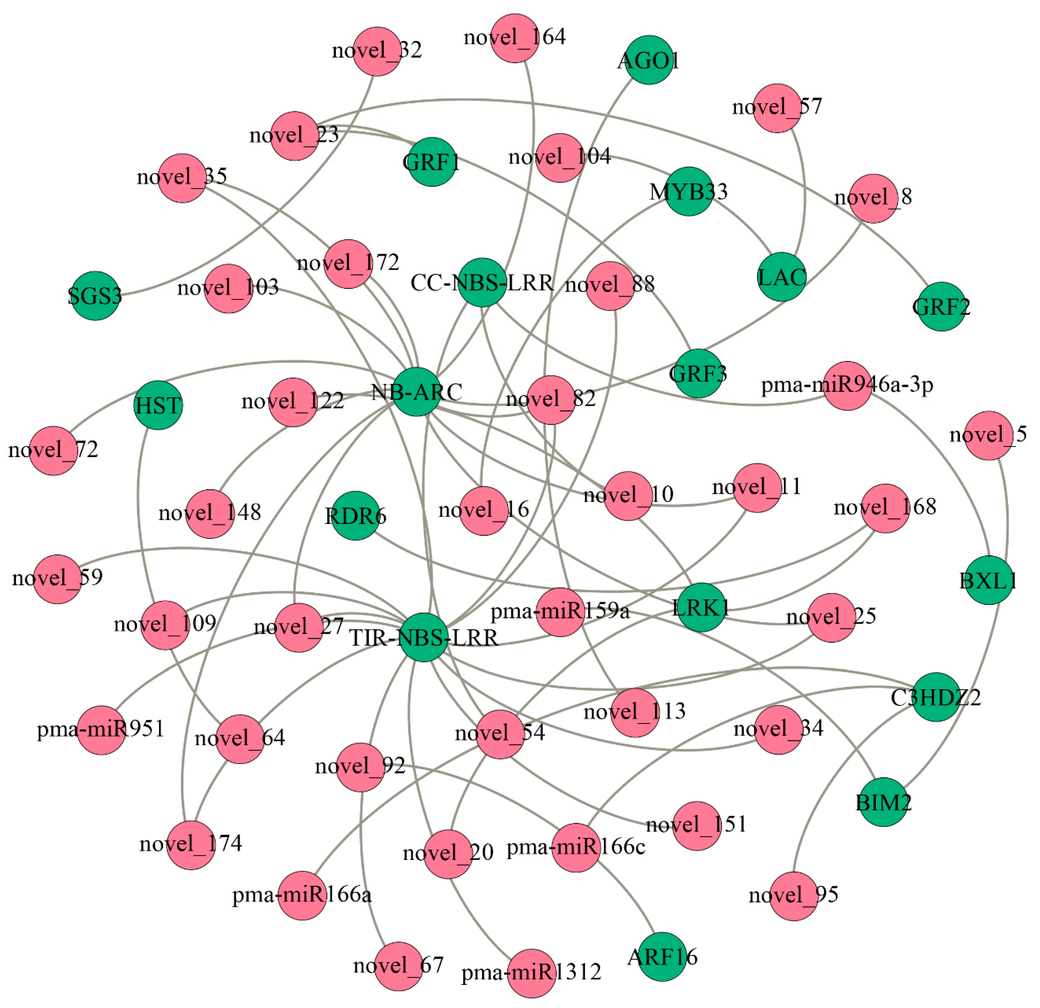 Ijms 22 10154 g005 550