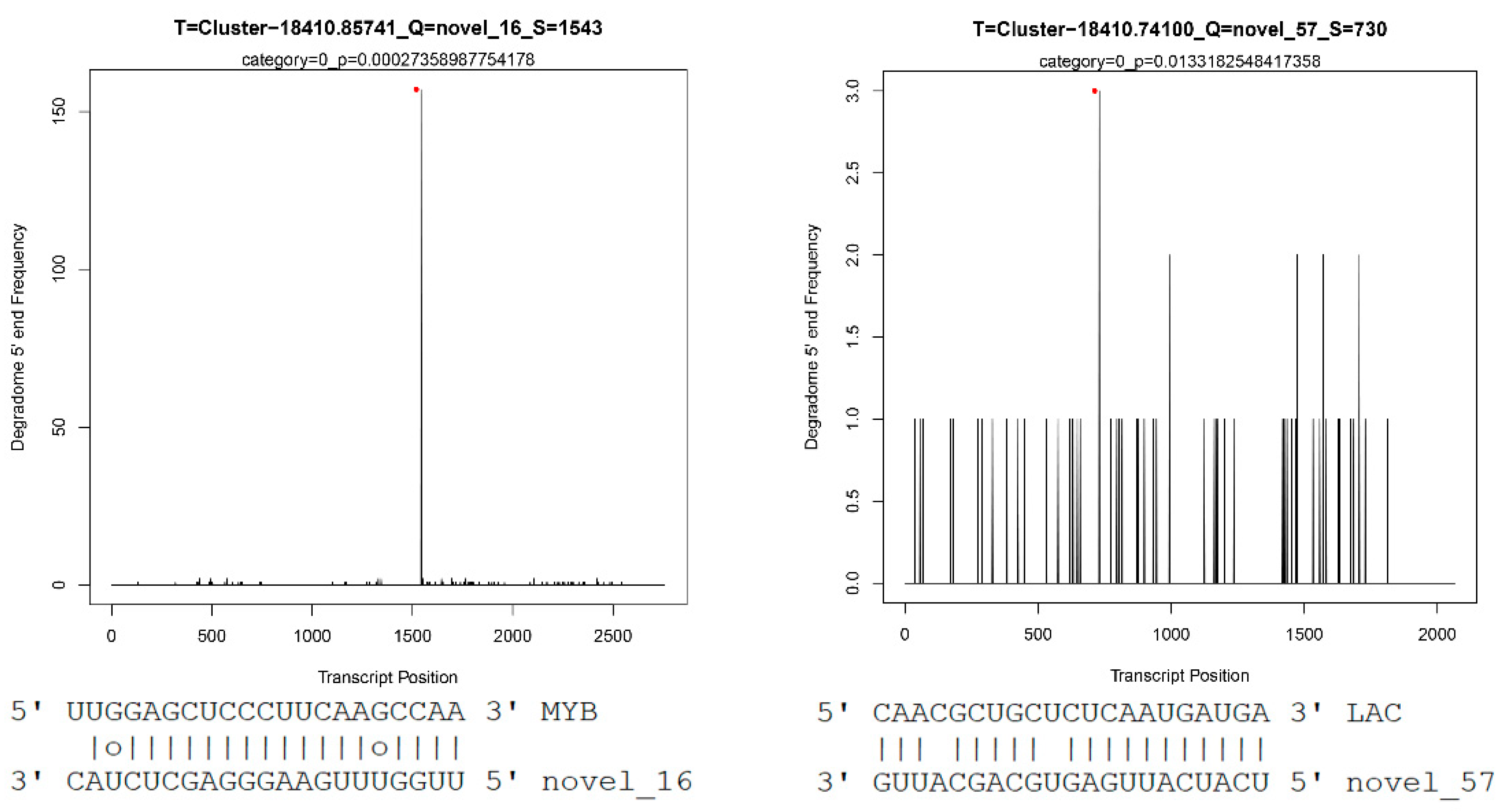 Ijms 22 10154 g007 550