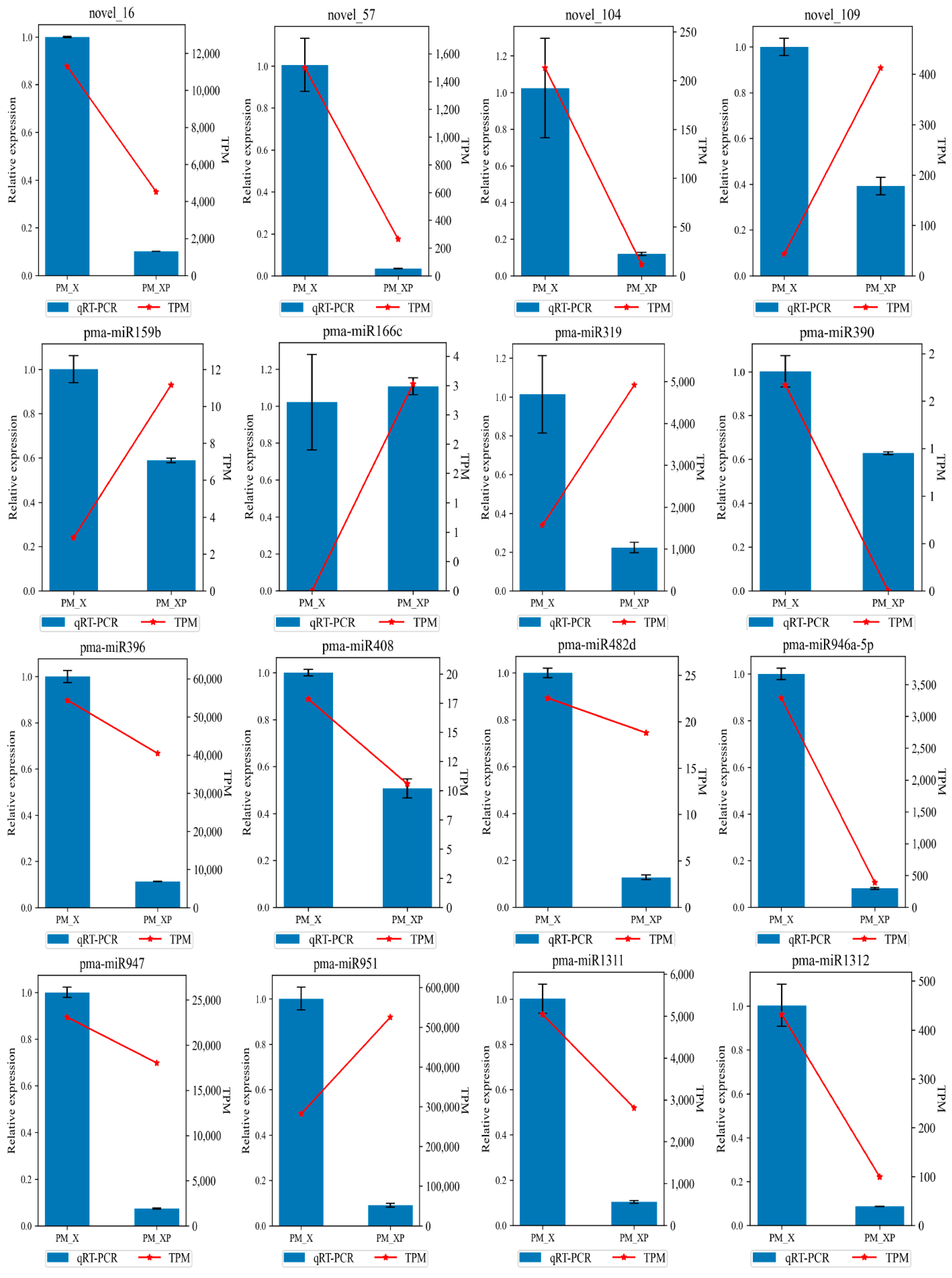 Ijms 22 10154 g008 550