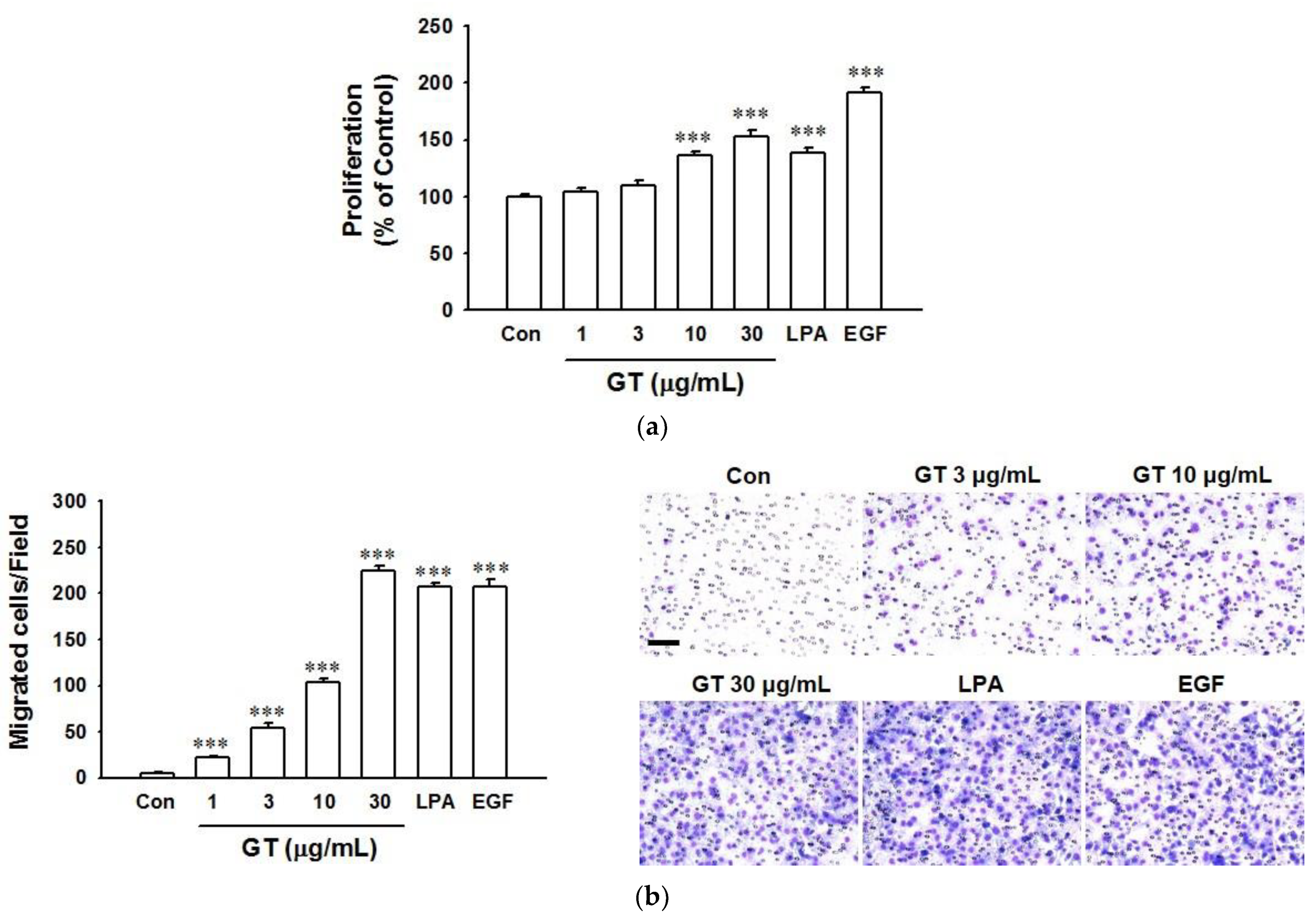 Ijms 22 10155 g001 550