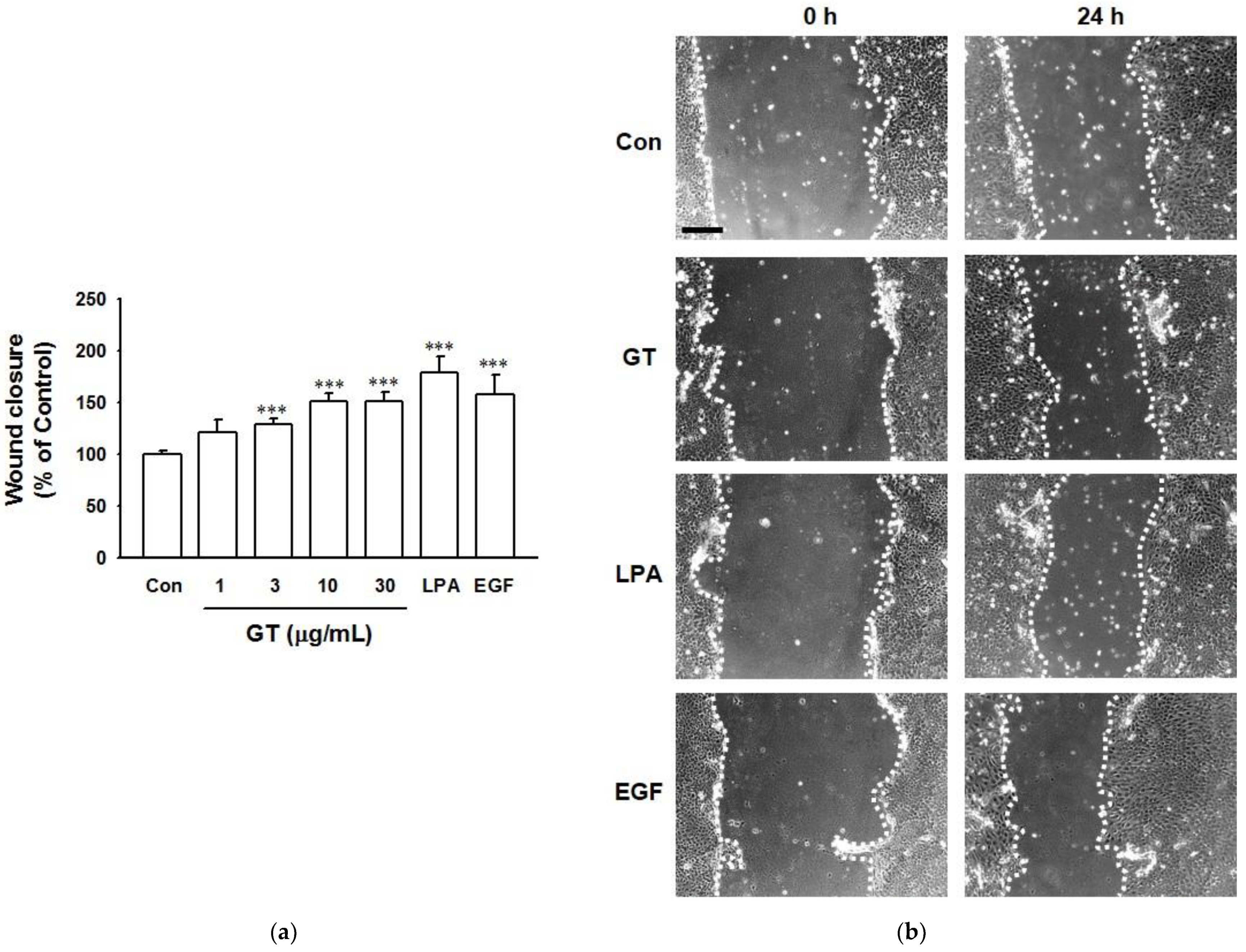 Ijms 22 10155 g002 550
