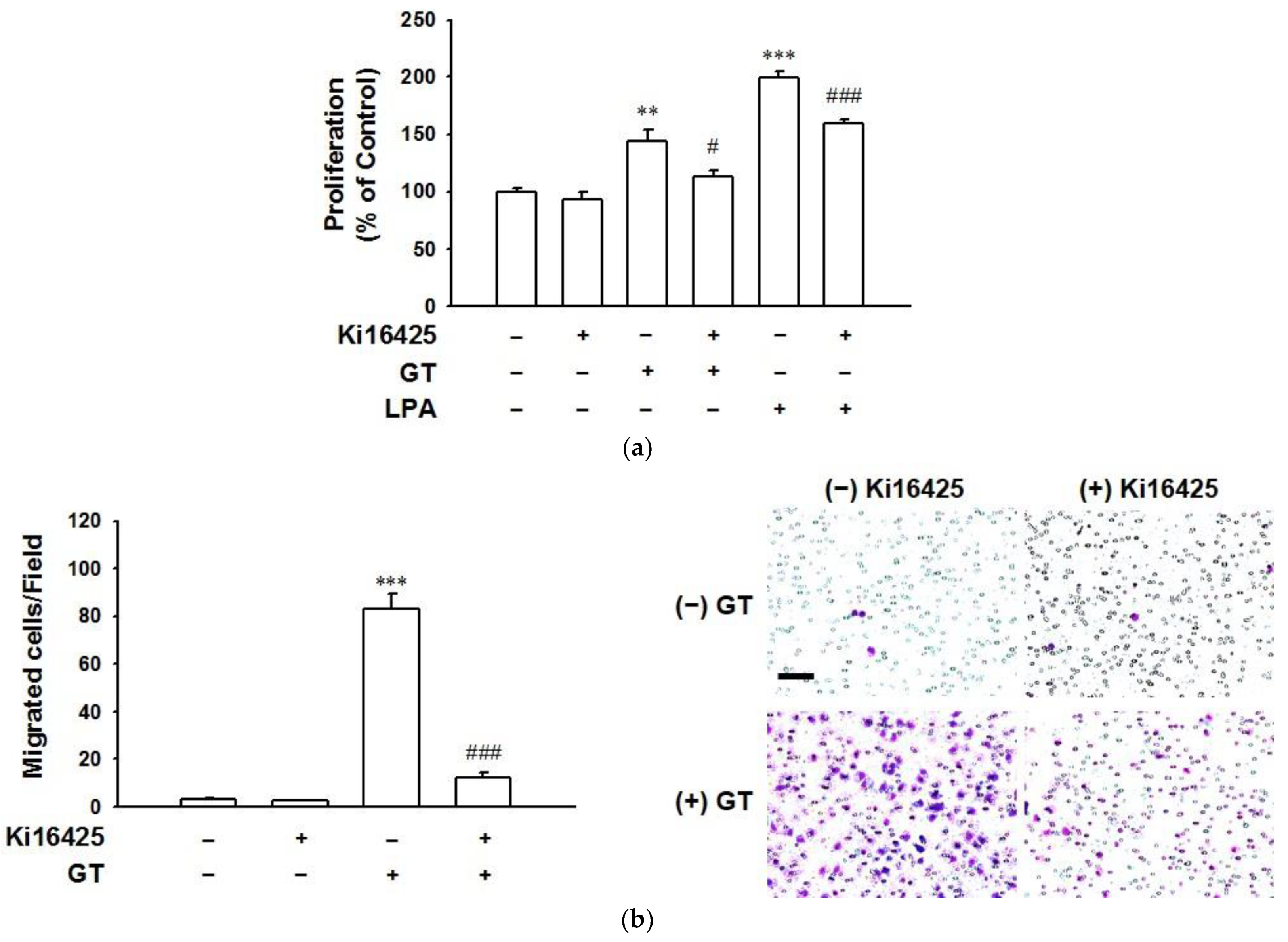 Ijms 22 10155 g003 550