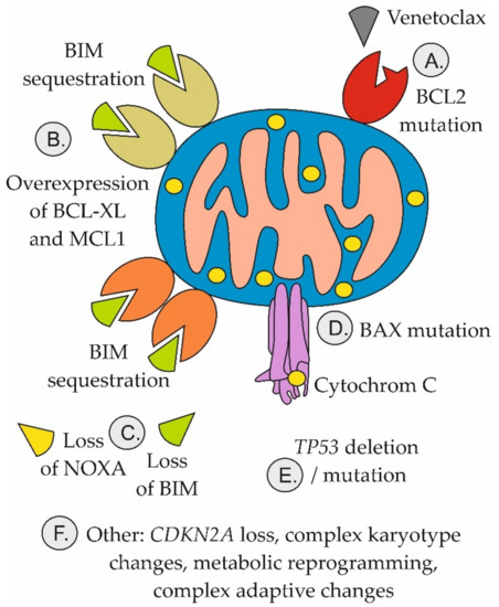 タナカ Metabolic Adaptation-Mediated Cancer Survival and