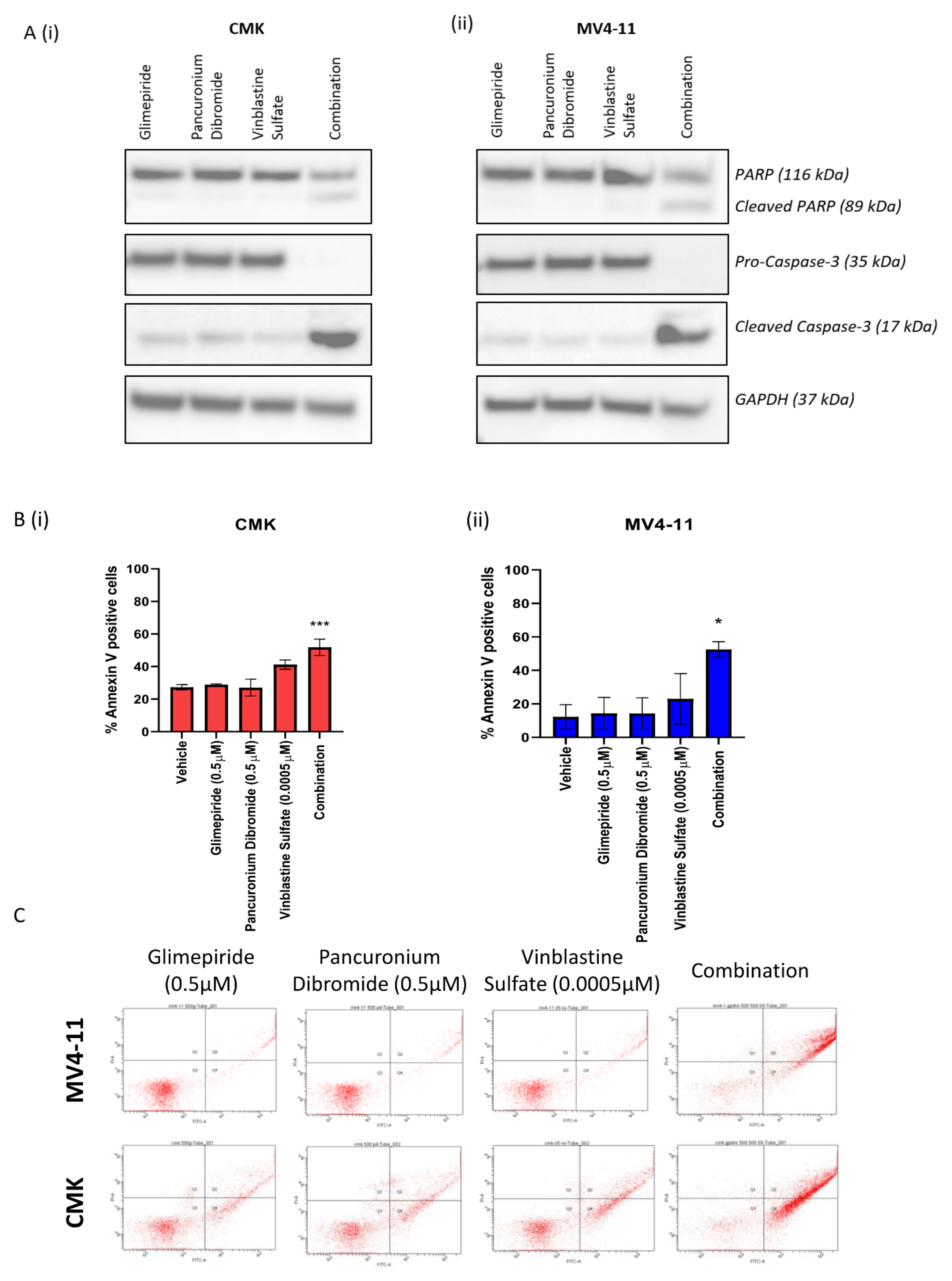 Ijms 22 10163 g005 Ijms 22 10163 g005