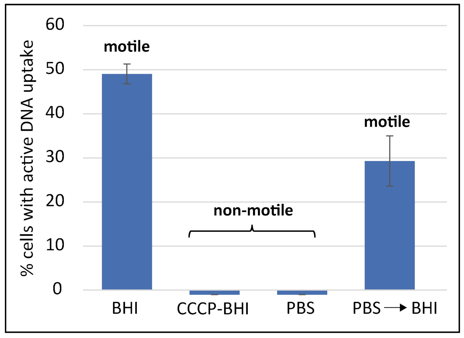 Ijms 22 10169 g002 Ijms 22 10169 g002