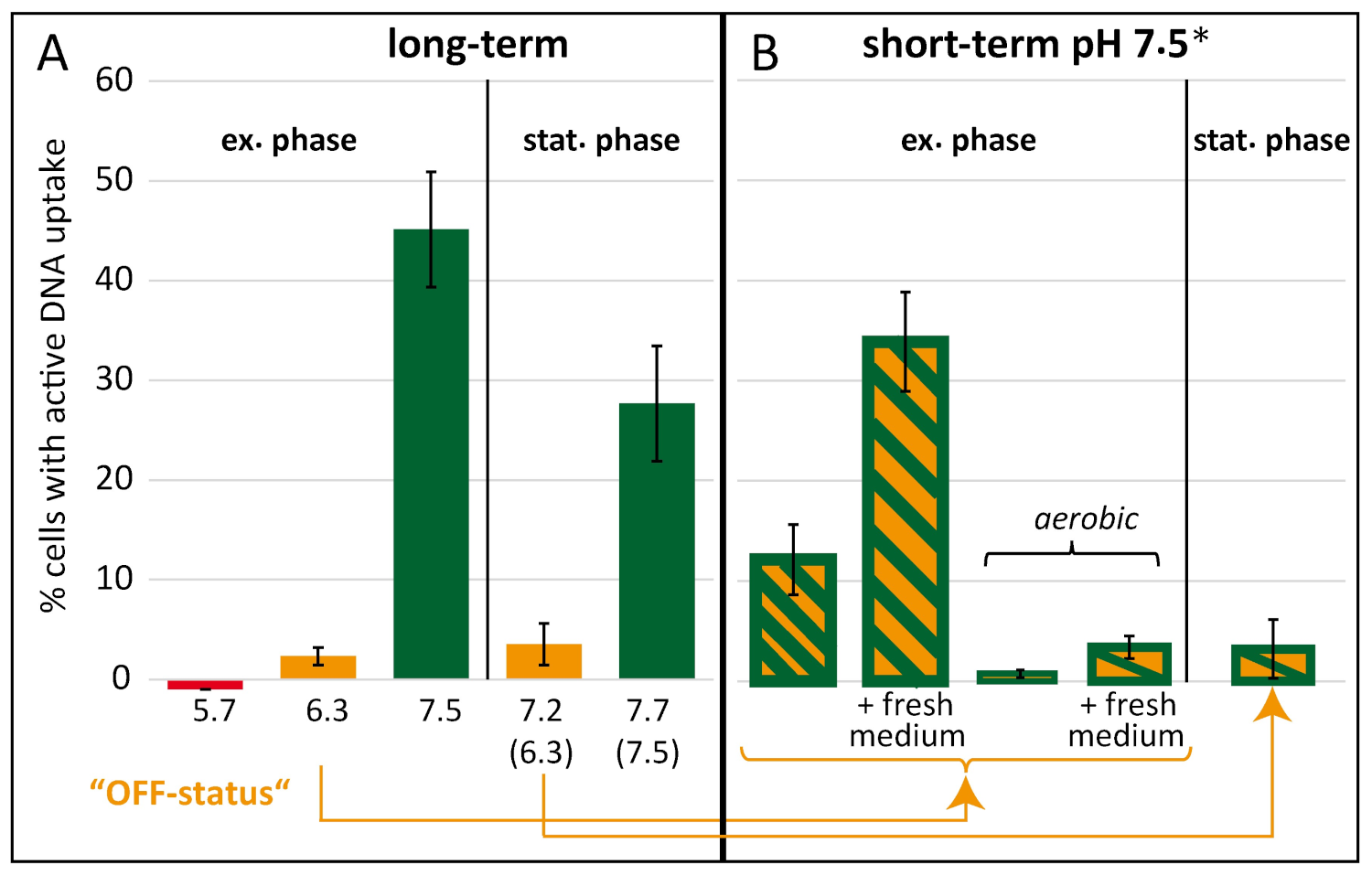 Ijms 22 10169 g004 Ijms 22 10169 g004