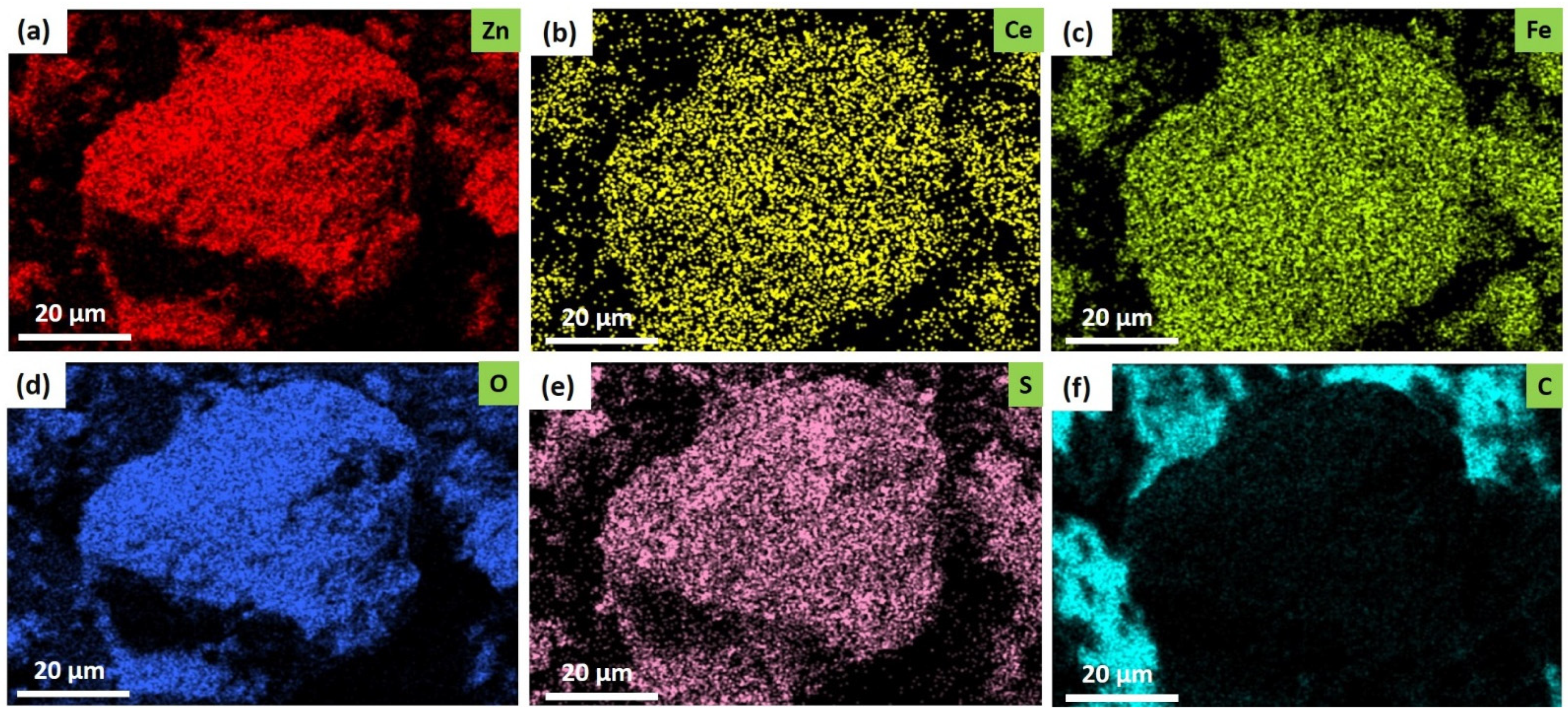 Ijms 22 10171 g004 550