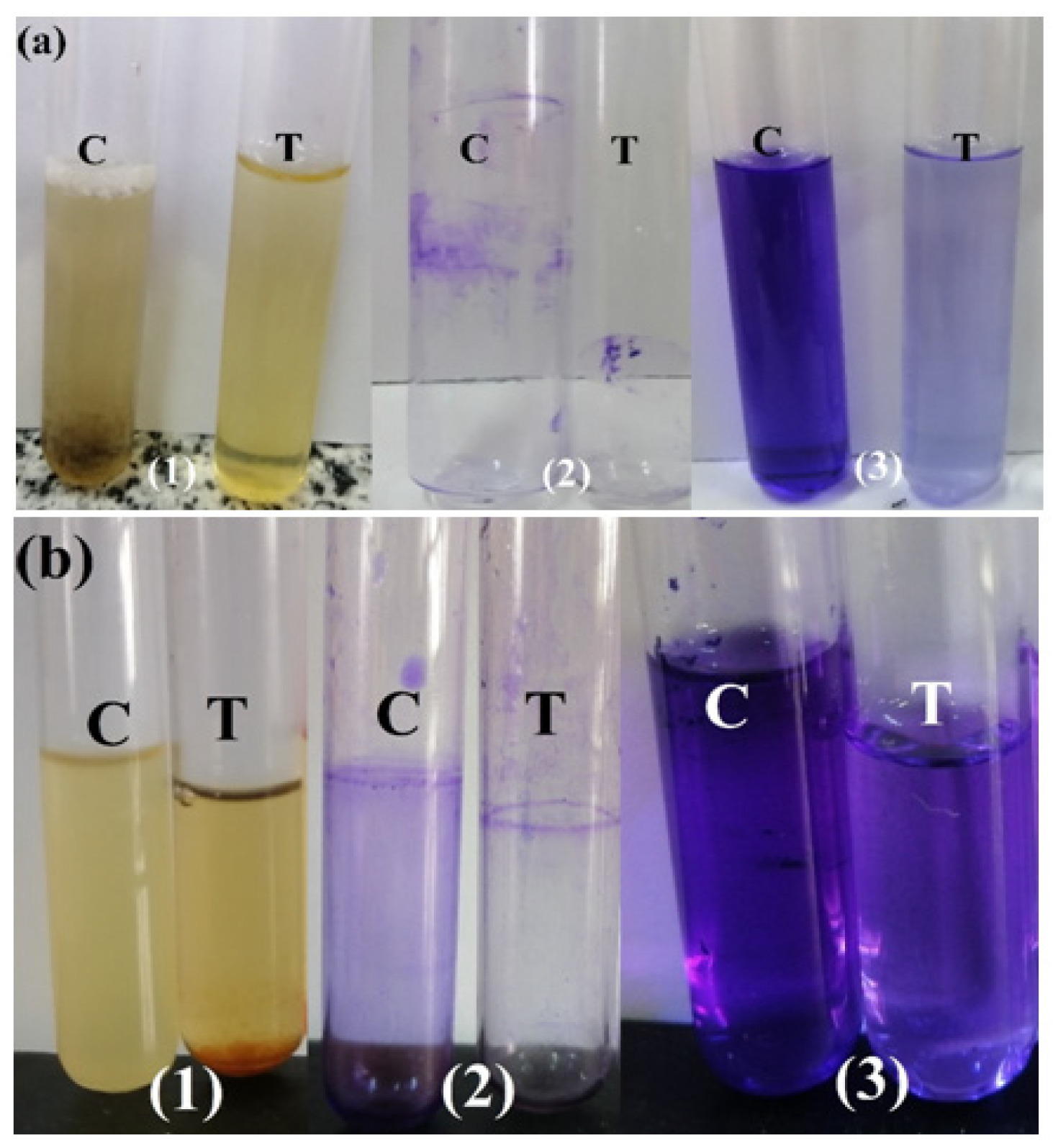 Ijms 22 10171 g008 550