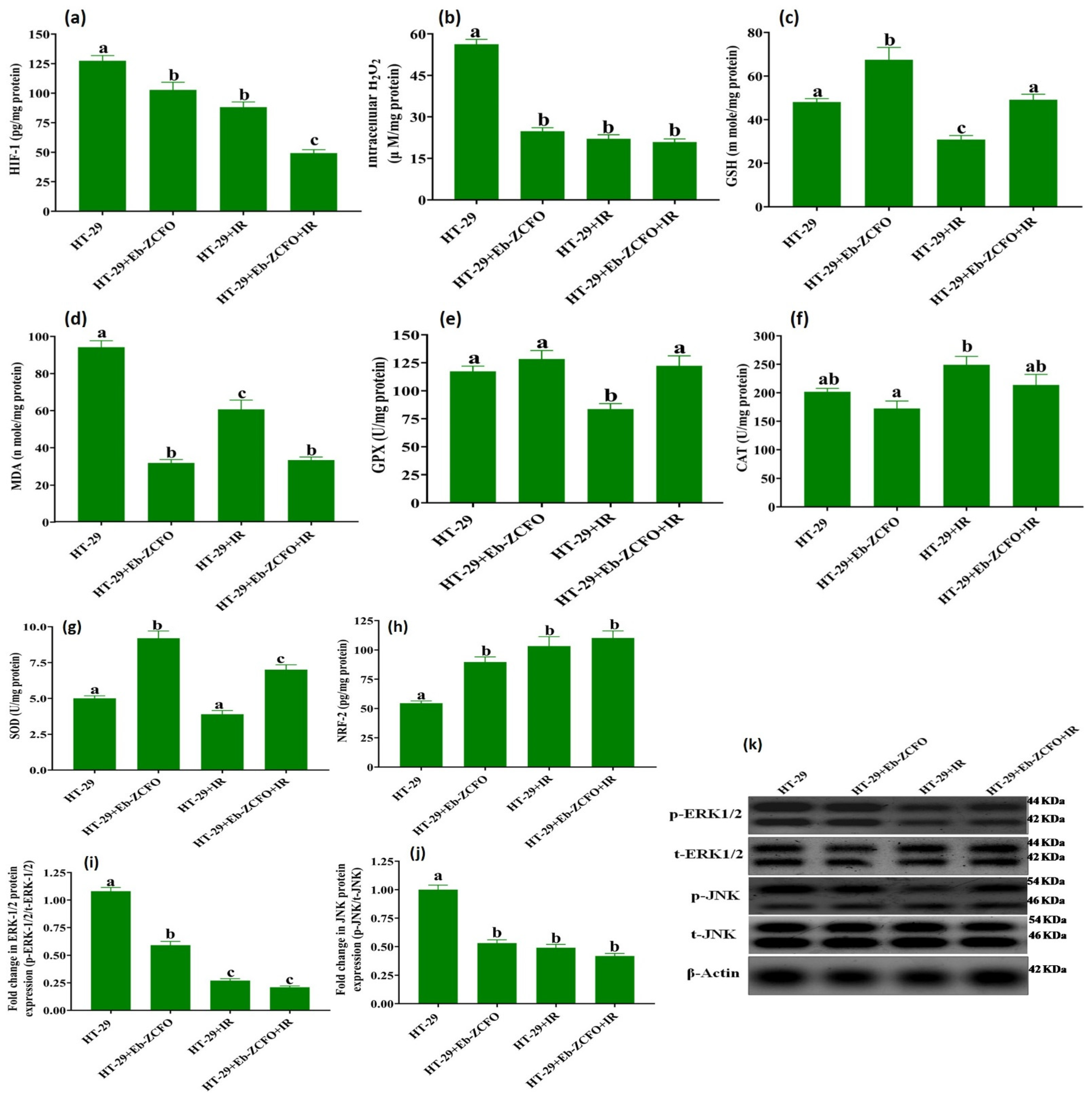 Ijms 22 10171 g014 550