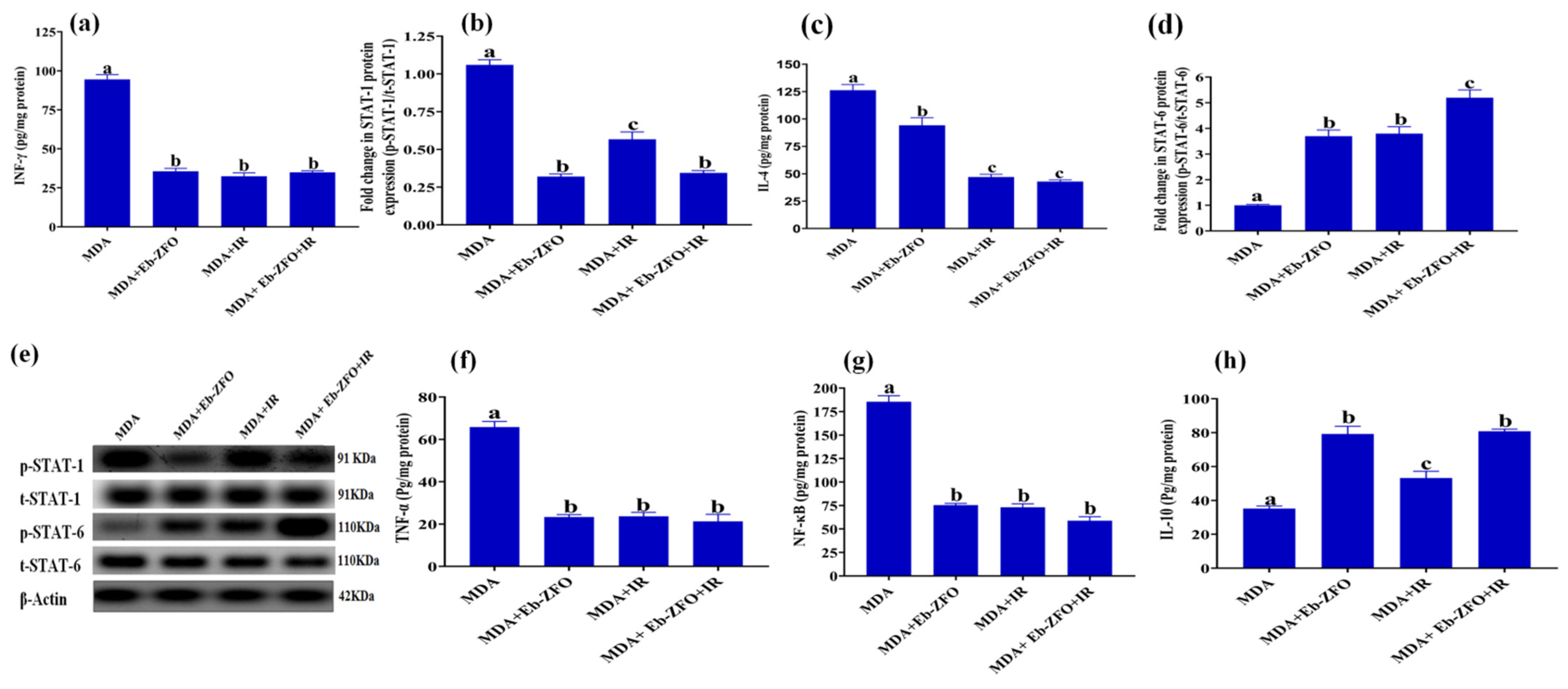 Ijms 22 10171 g015 550