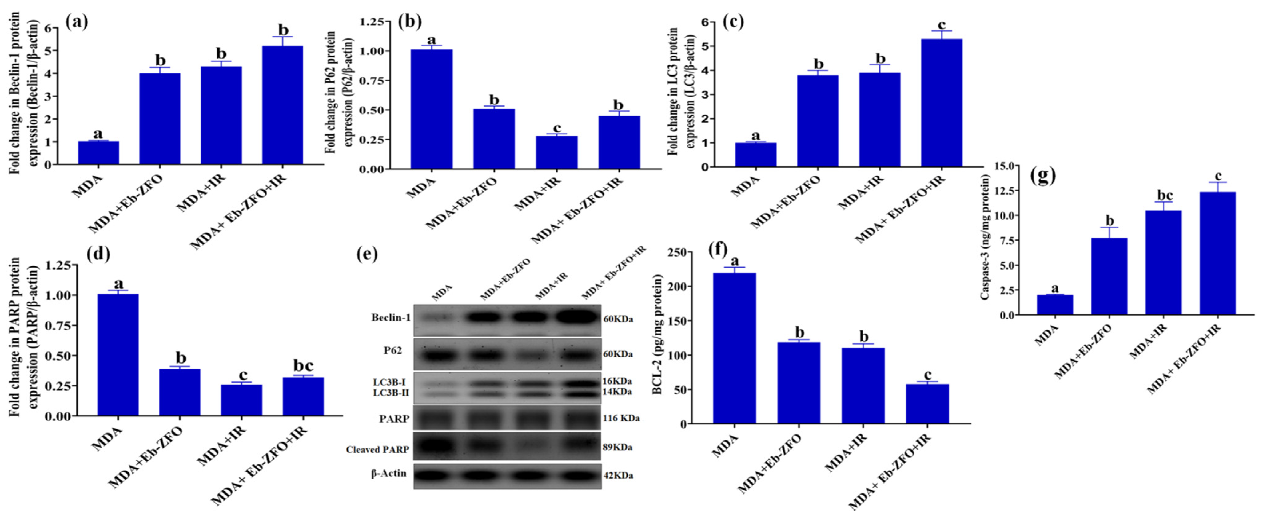 Ijms 22 10171 g017 550