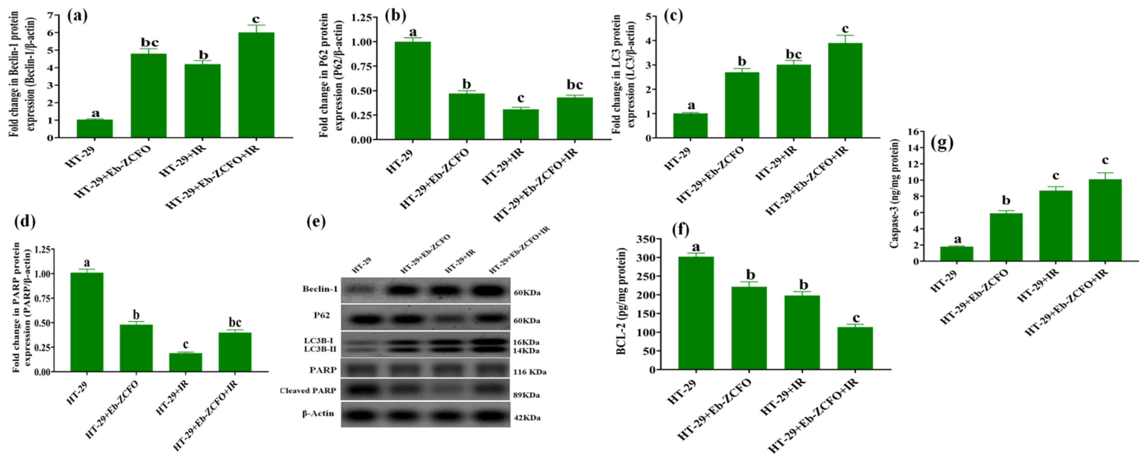 Ijms 22 10171 g018 550