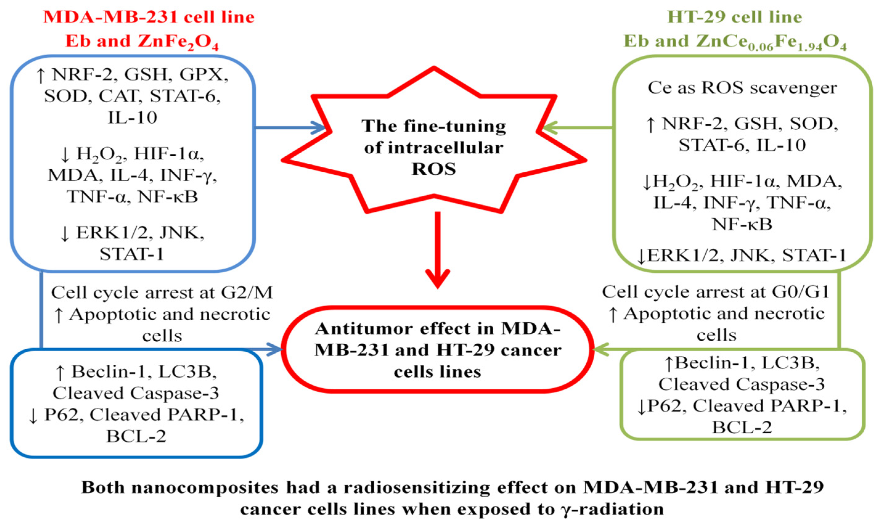 Ijms 22 10171 g021 550