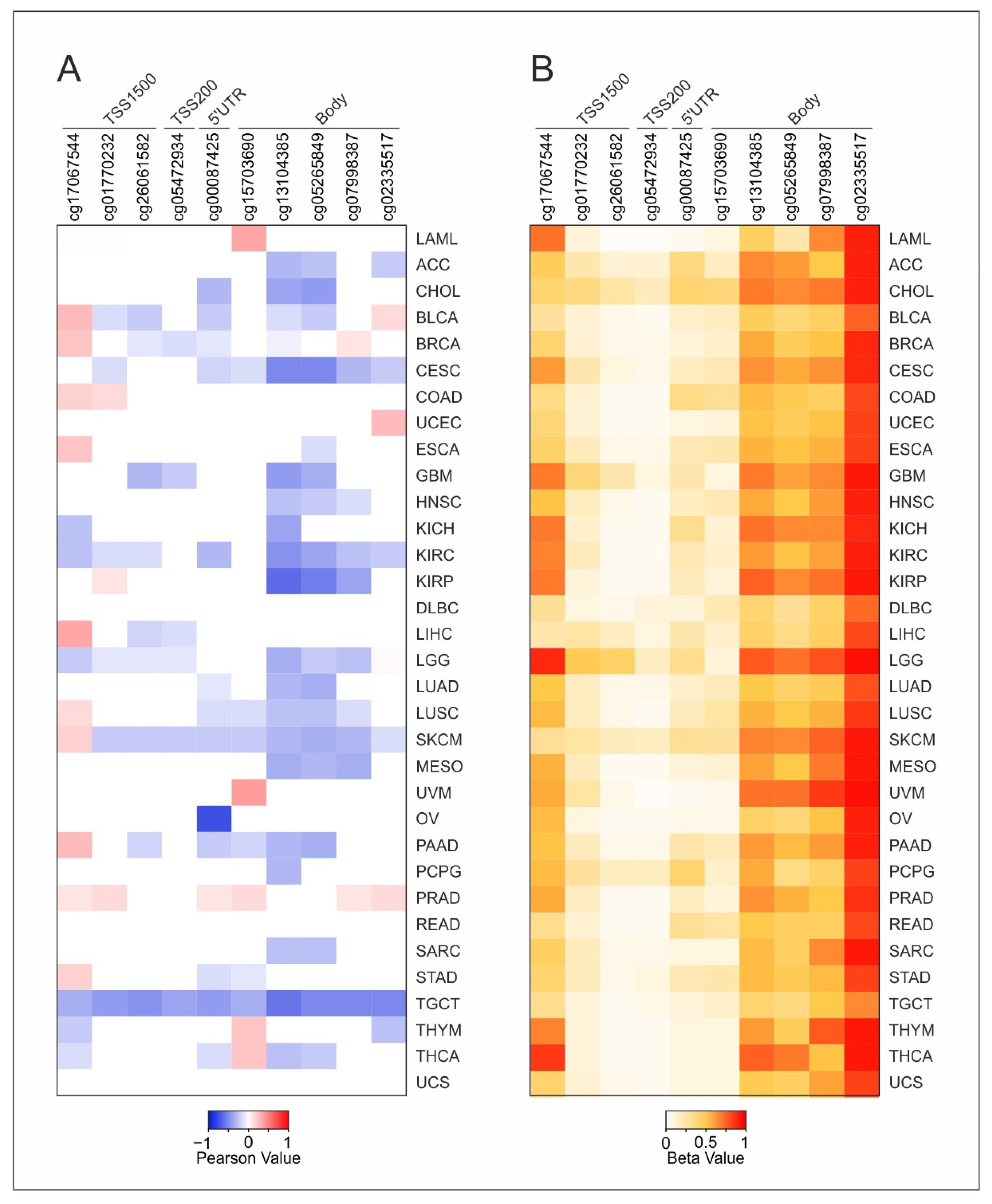 Ijms 22 10172 g001 Ijms 22 10172 g001