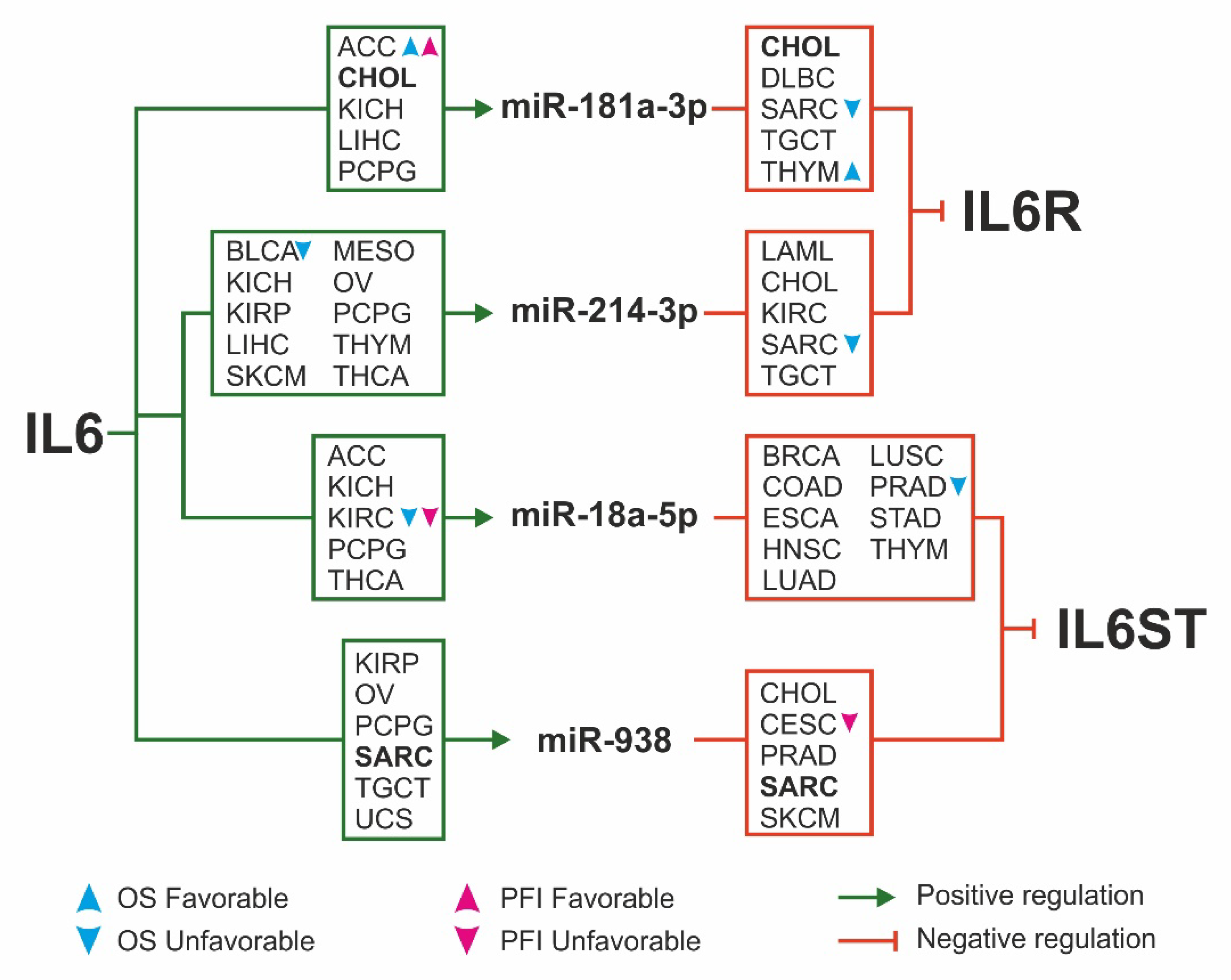 Ijms 22 10172 g007 Ijms 22 10172 g007