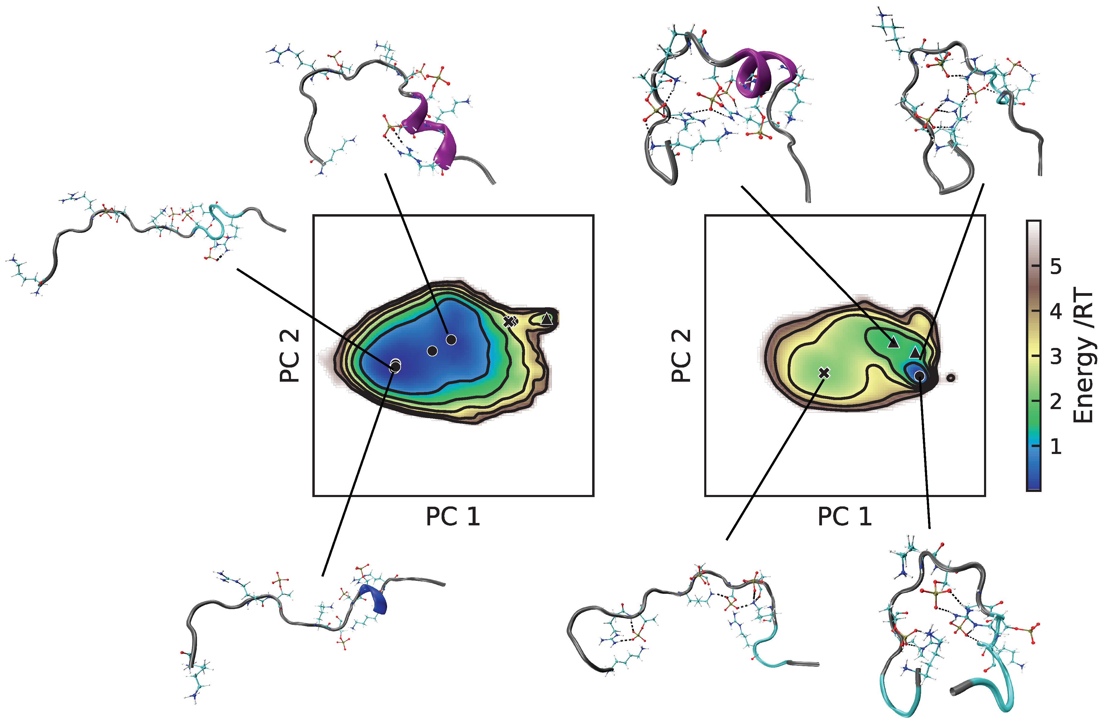 Ijms 22 10174 g006 550