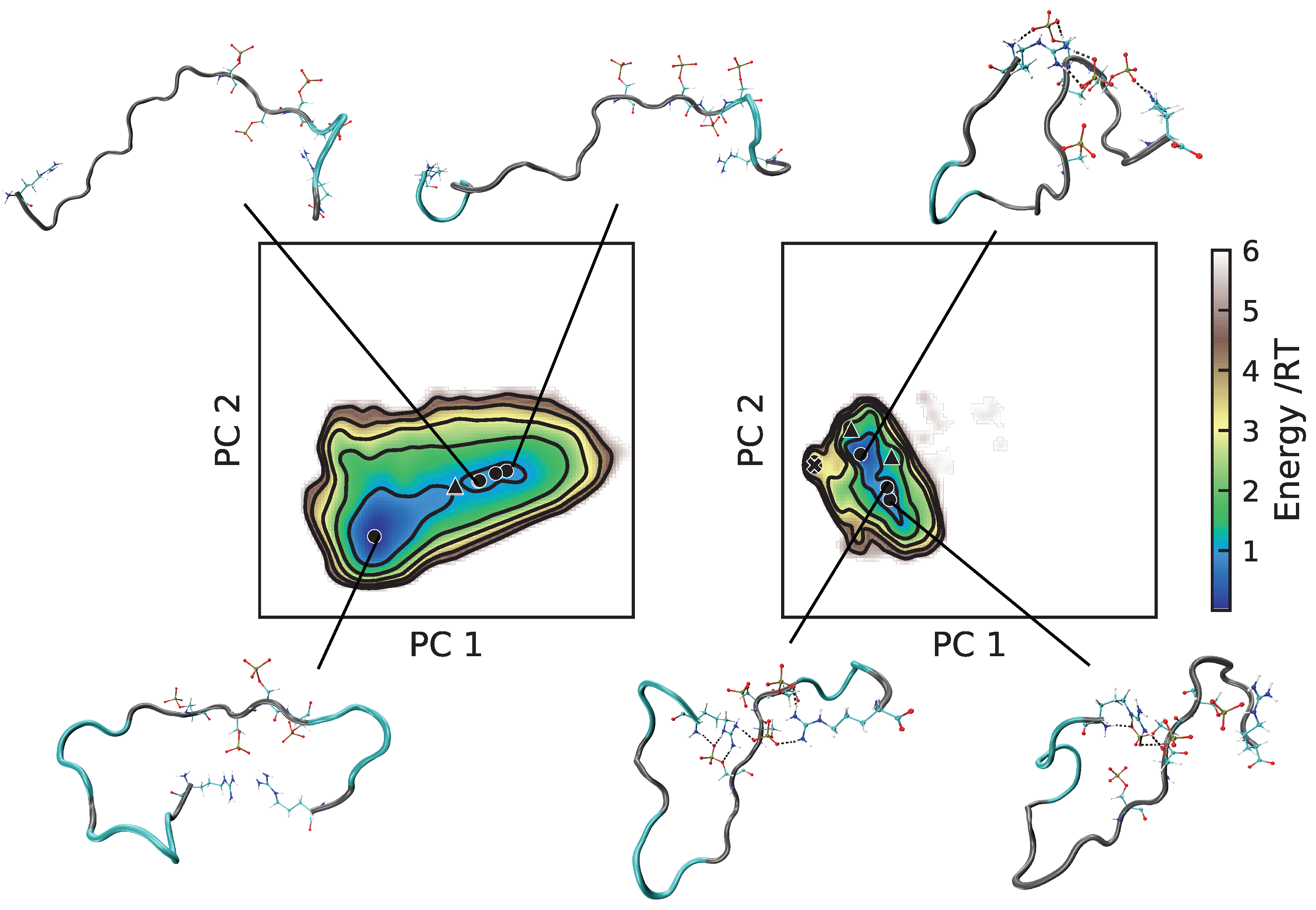 Ijms 22 10174 g007 550