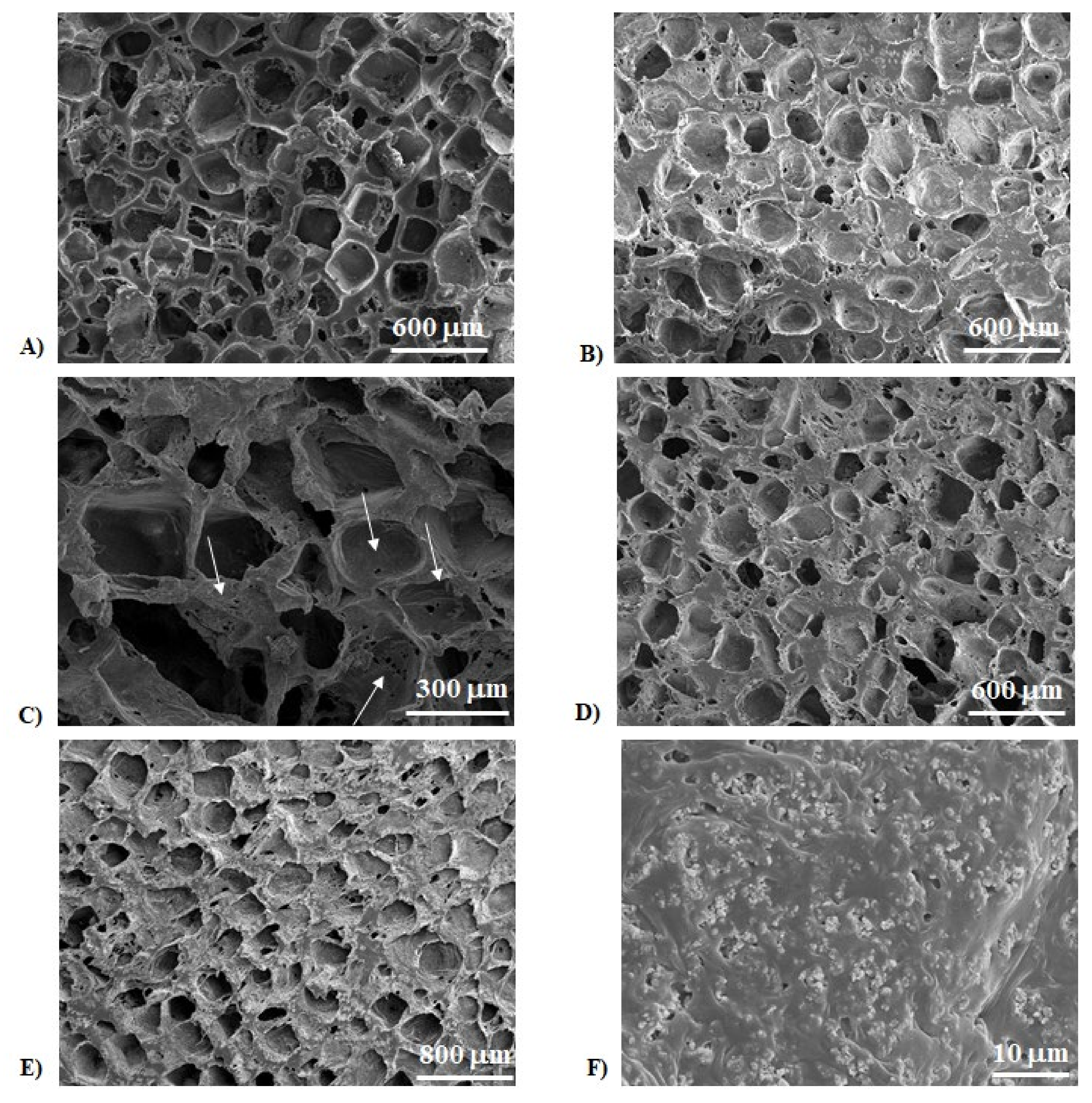 Ijms 22 10176 g001 550