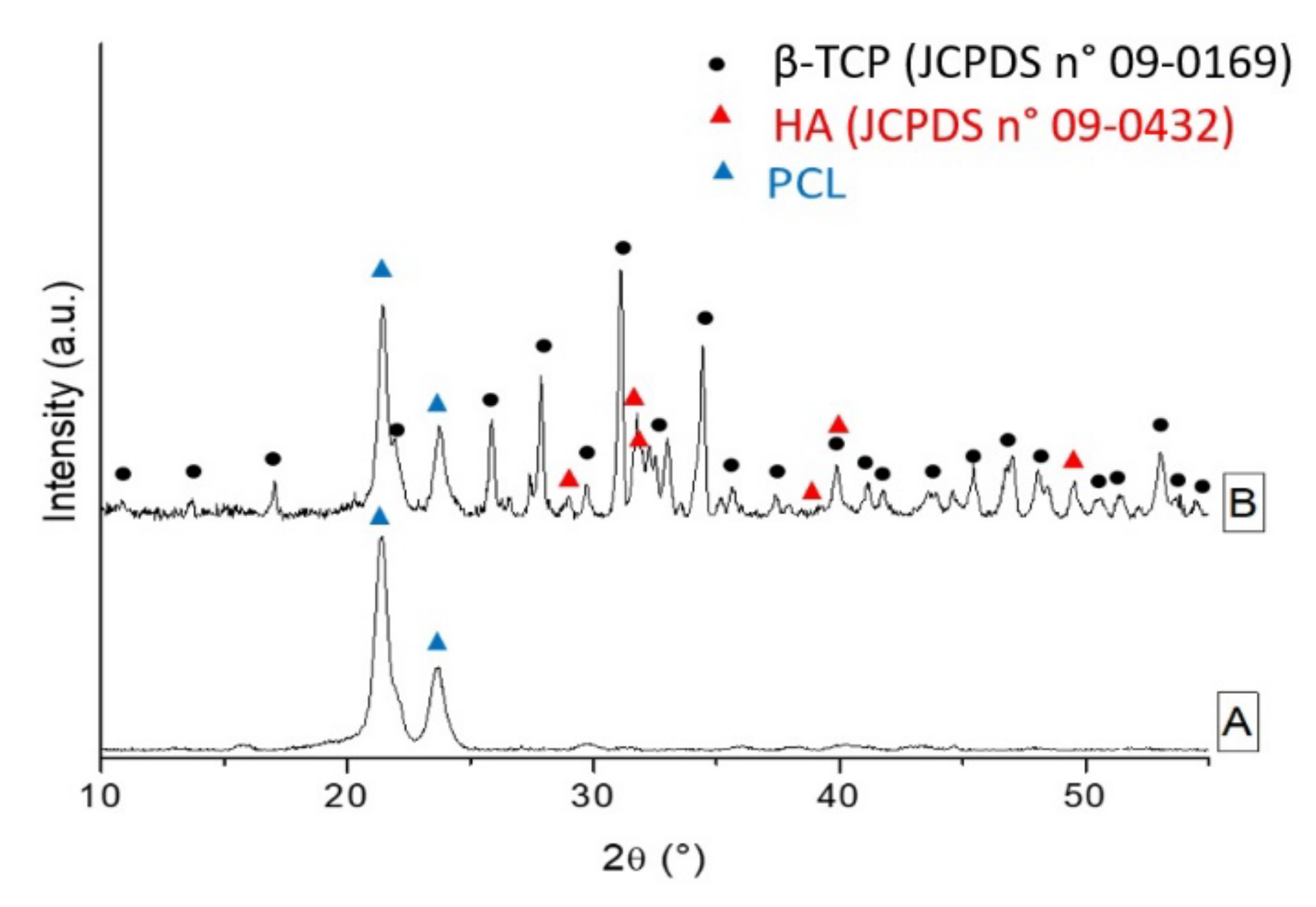 Ijms 22 10176 g002 550