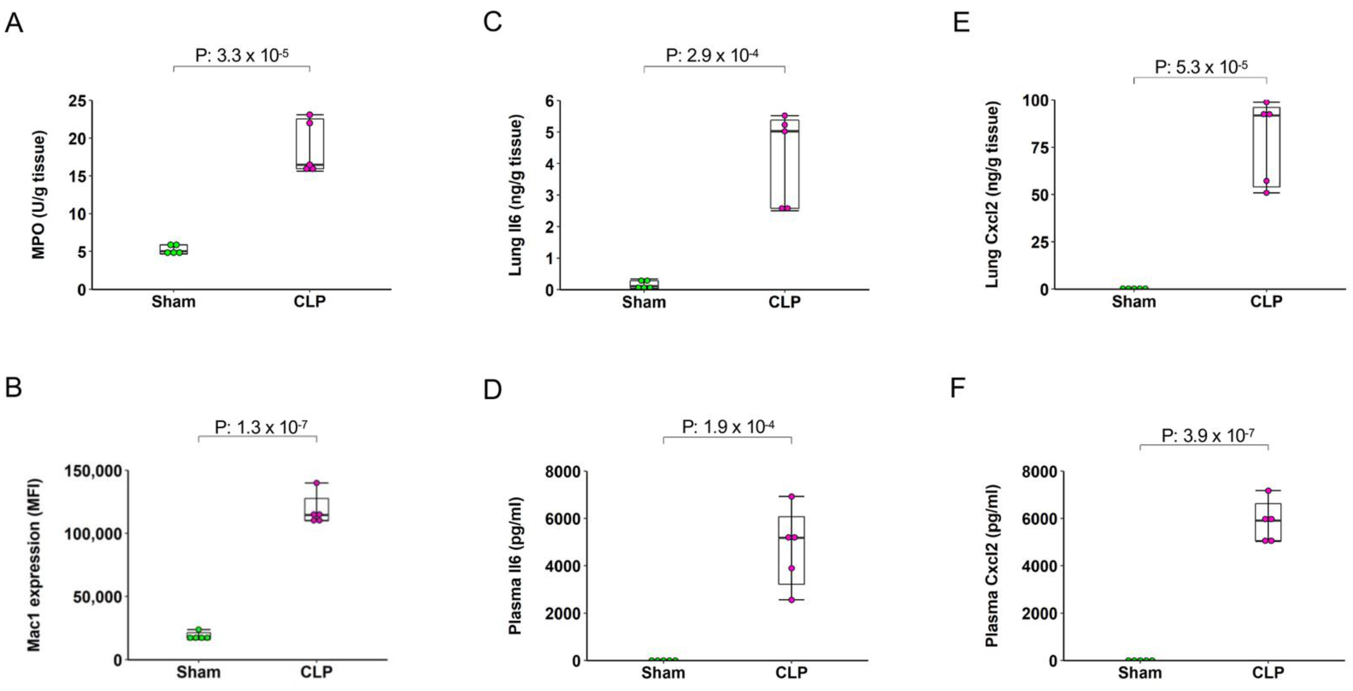 Ijms 22 10181 g002 550