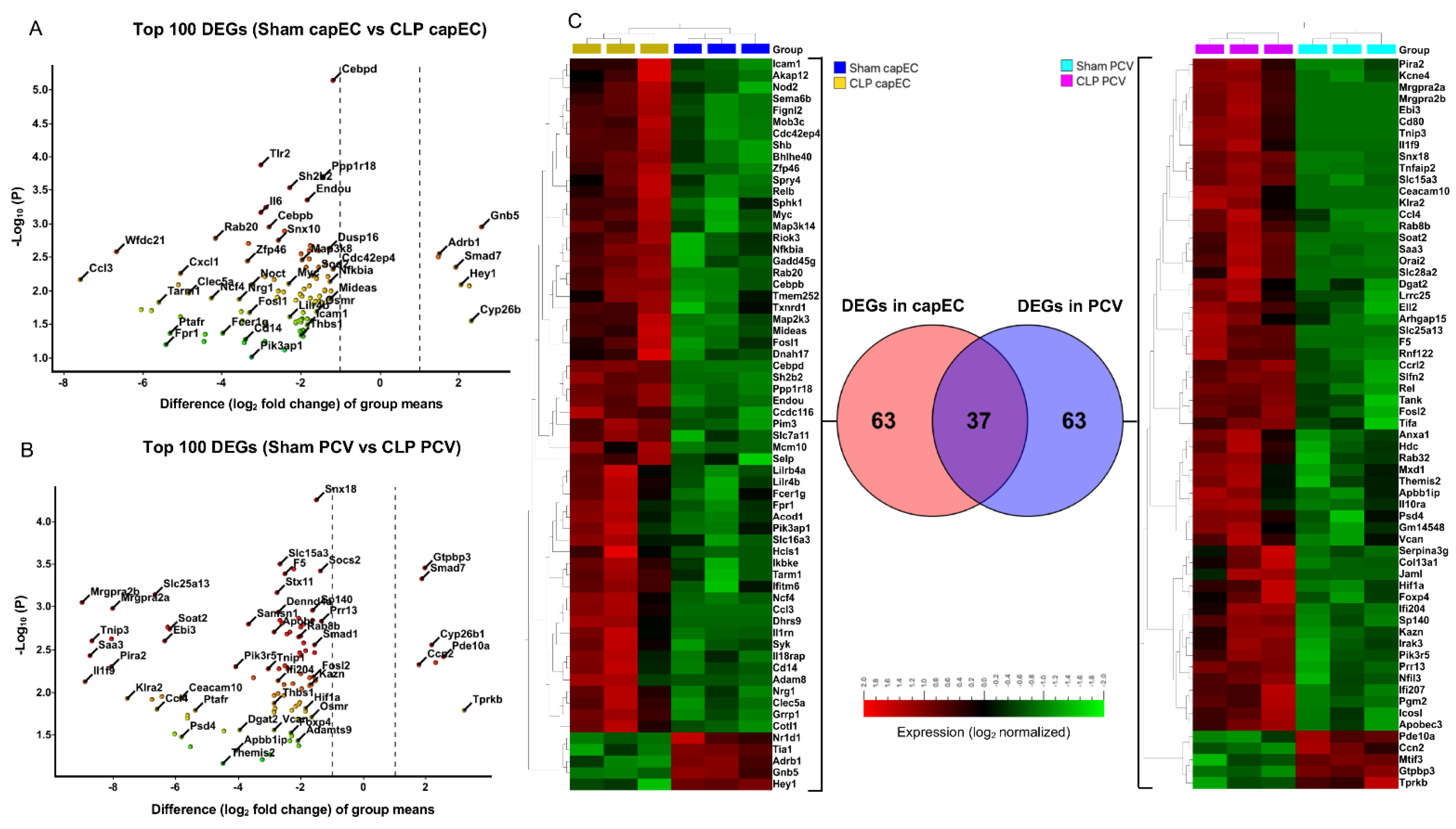 Ijms 22 10181 g003 550