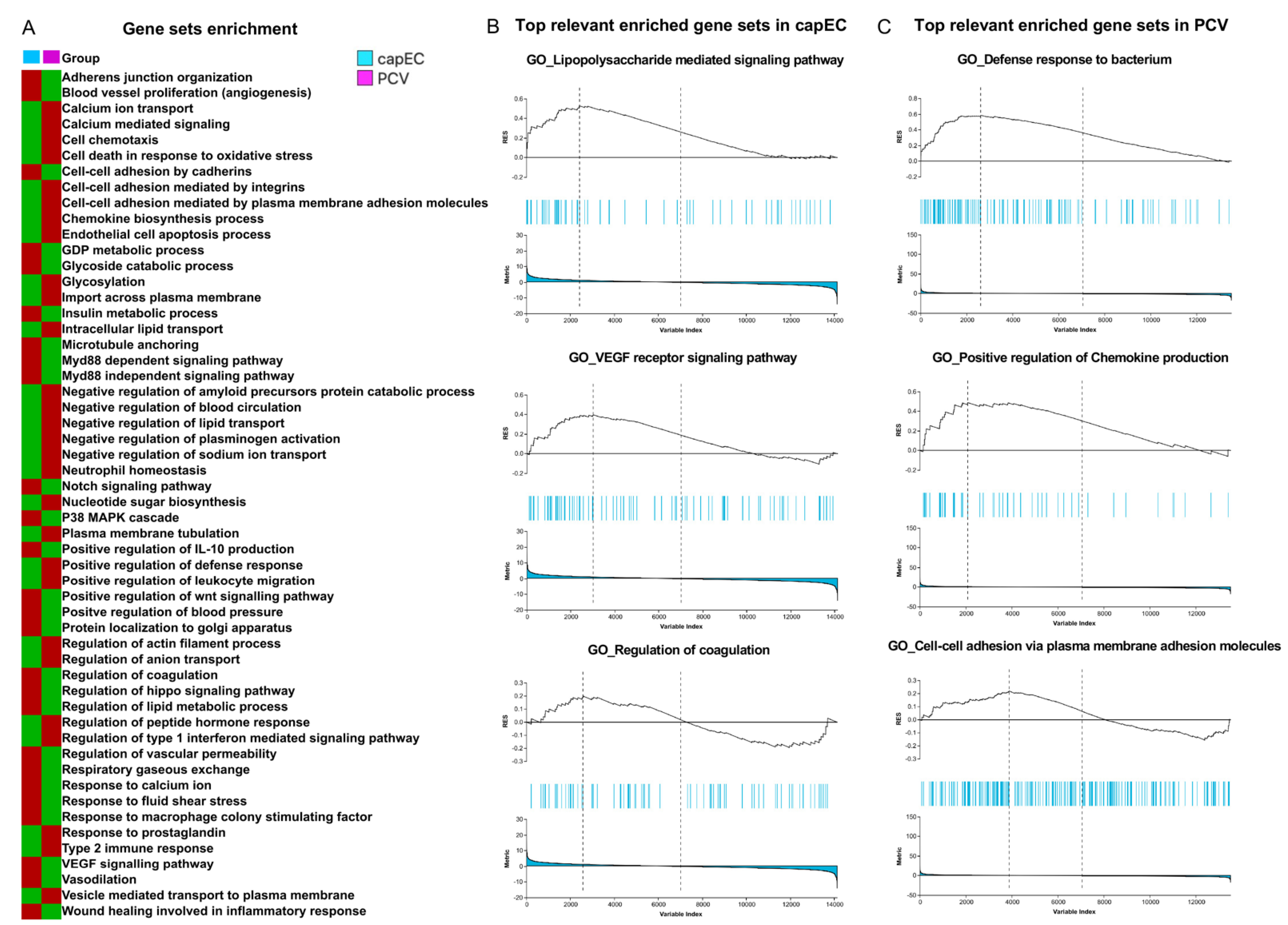 Ijms 22 10181 g004 550