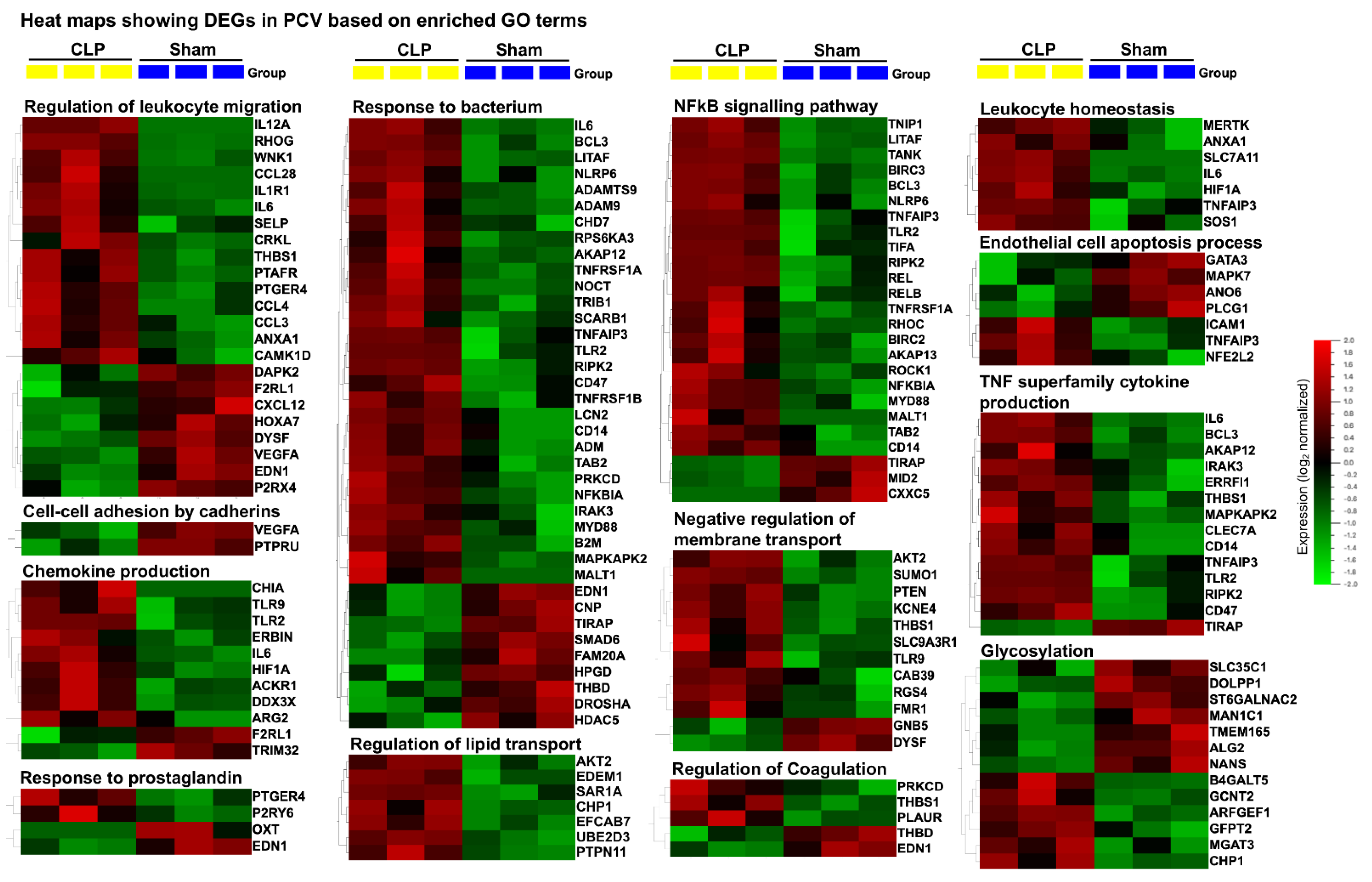 Ijms 22 10181 g006 550